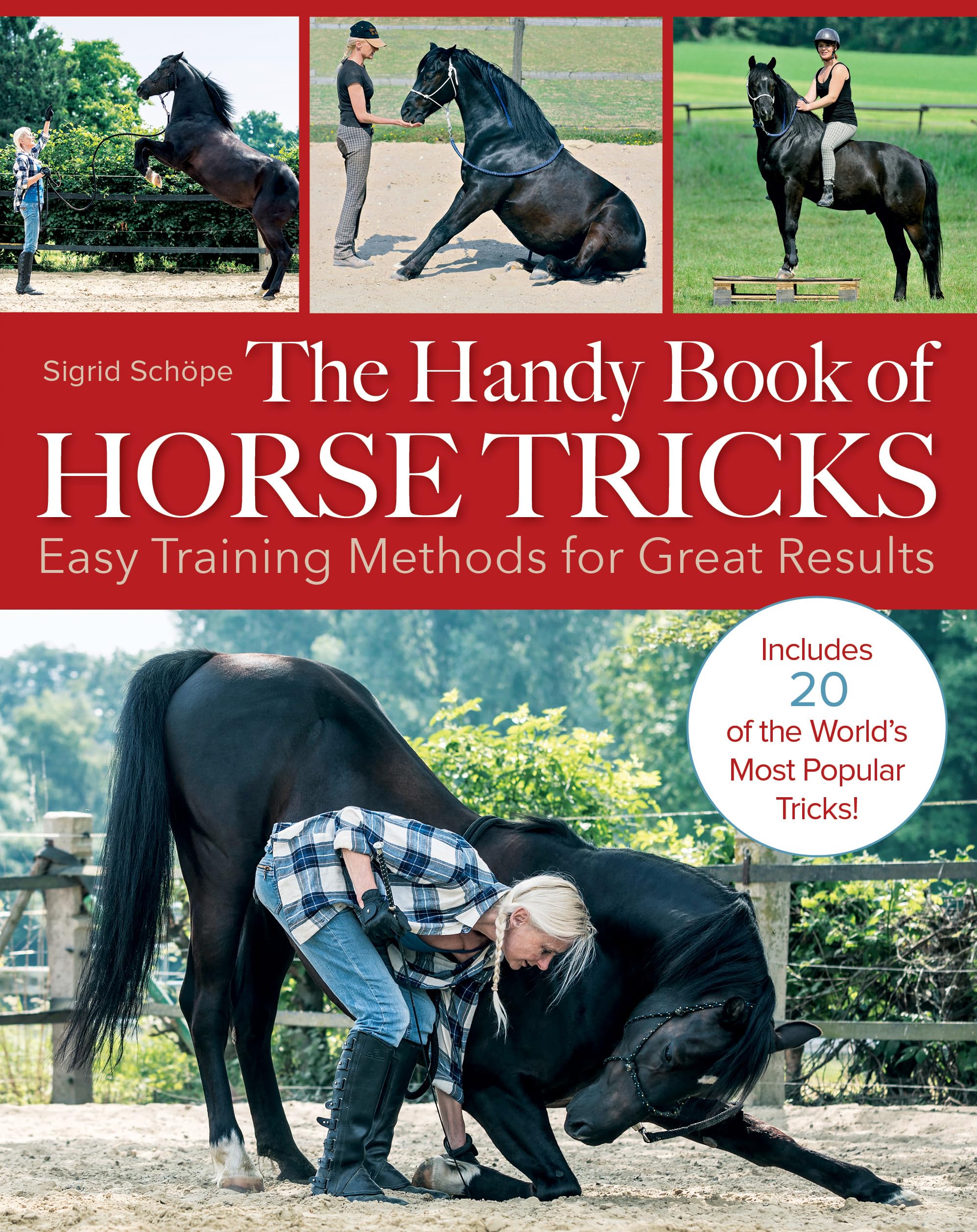 The Handy Book of Horse Tricks: Easy Training Methods for Great Results,Used