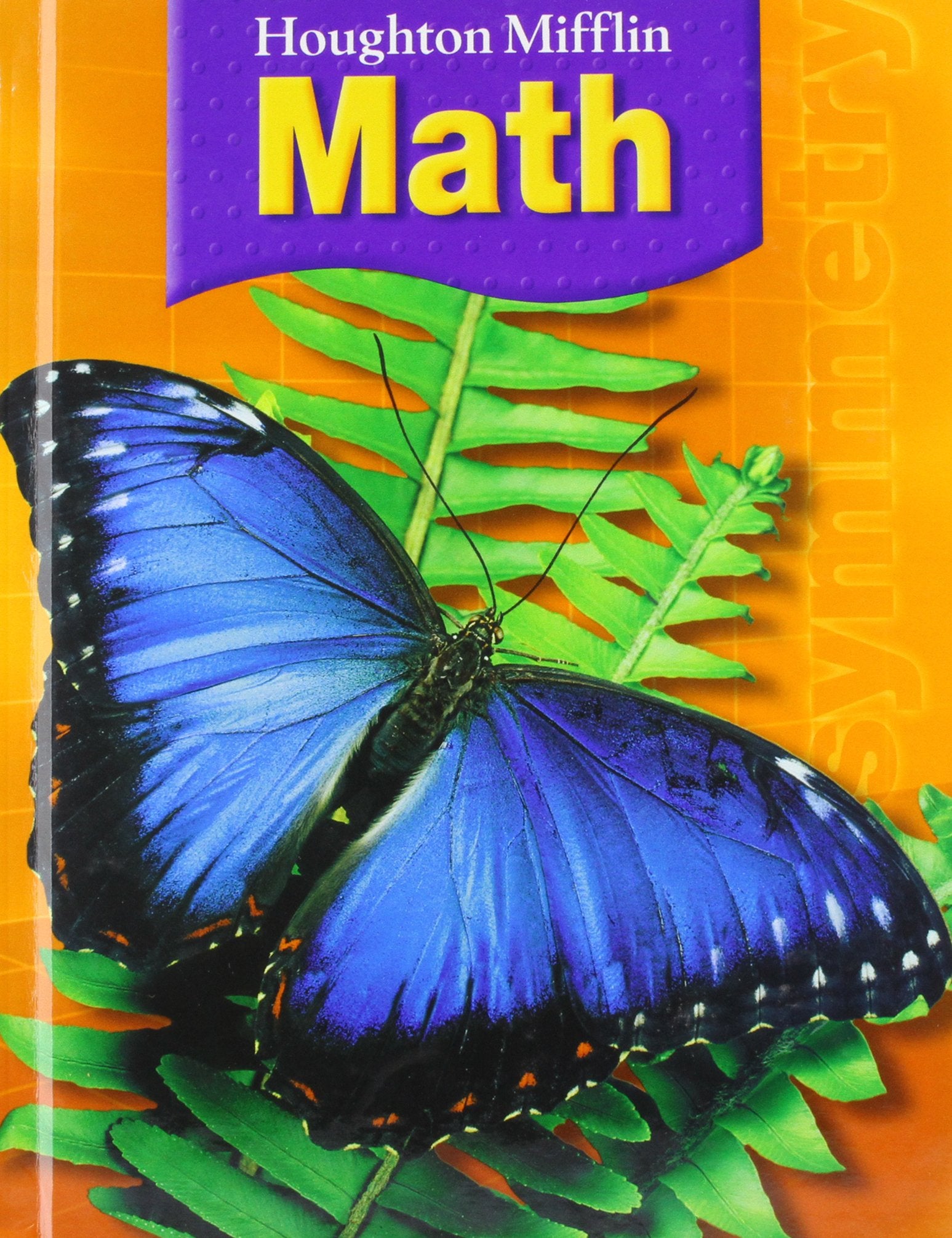 Houghton Mifflin Math: Student Book Grade 3 2007,New