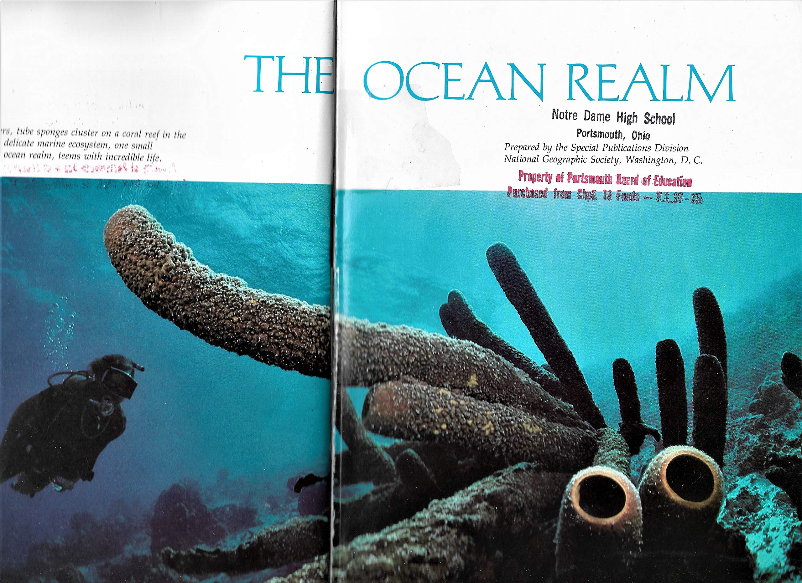 The Ocean Realm (Special Publications Series 13, No. 1),Used