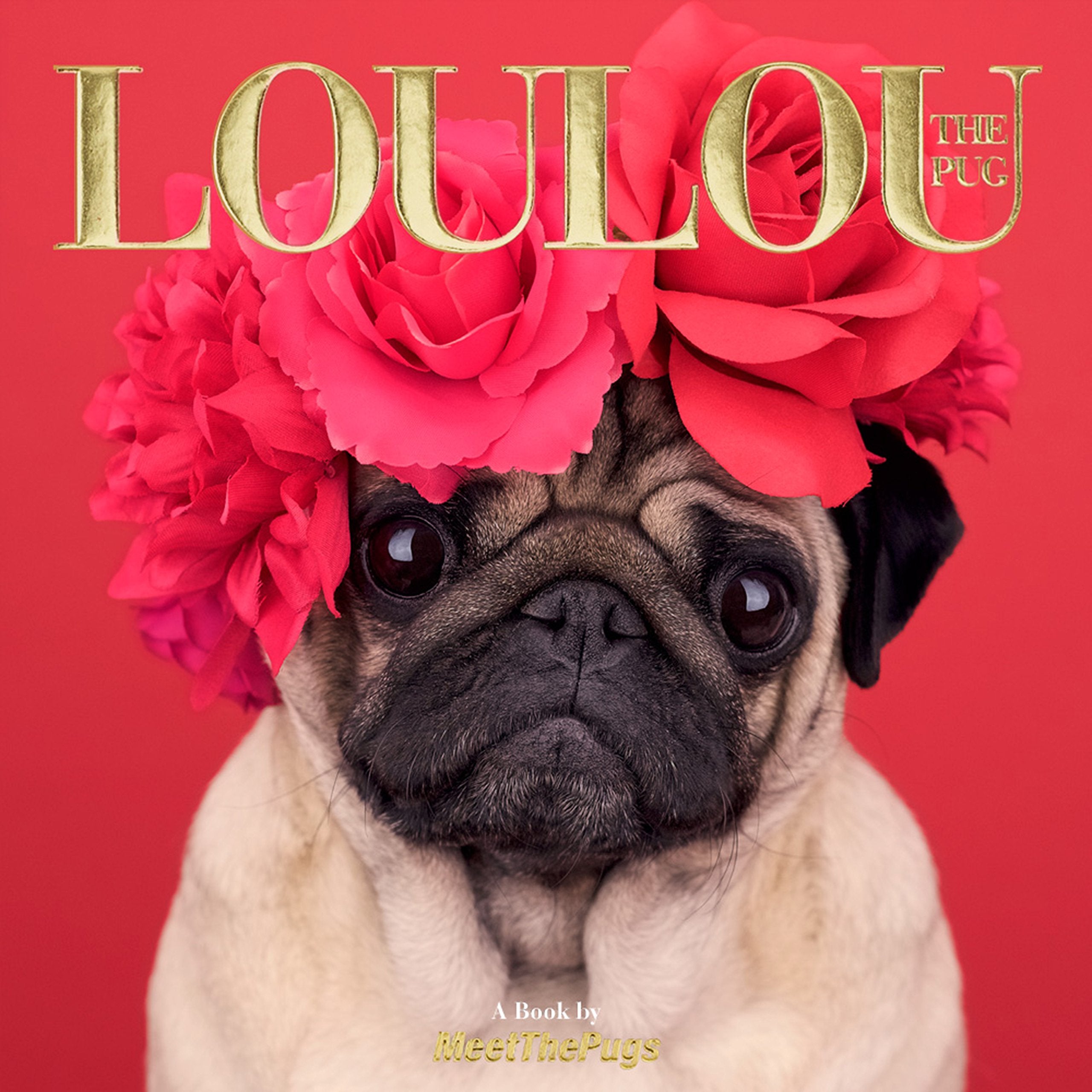 Loulou The Pug: A Book By Meetthepugs