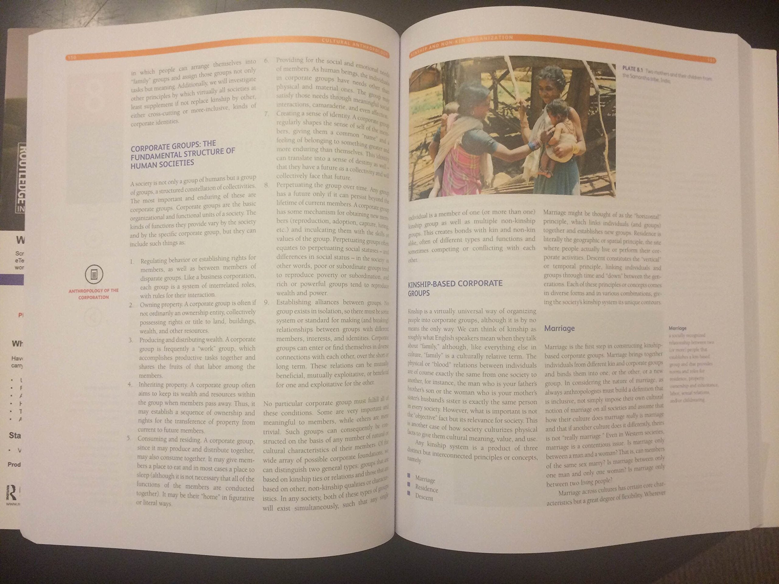 Cultural Anthropology: Global Forces, Local Lives,New