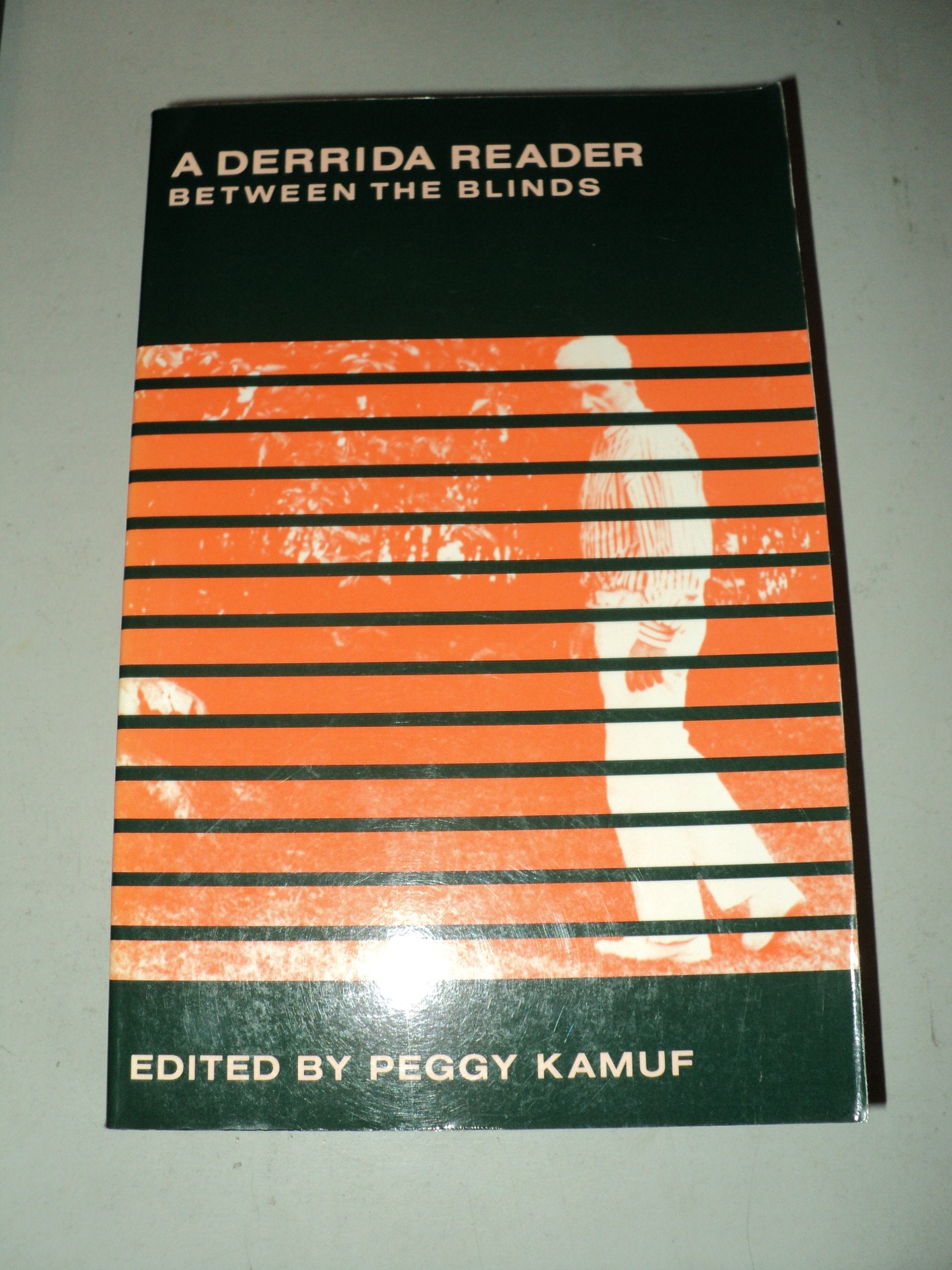 A Derrida Reader,Used
