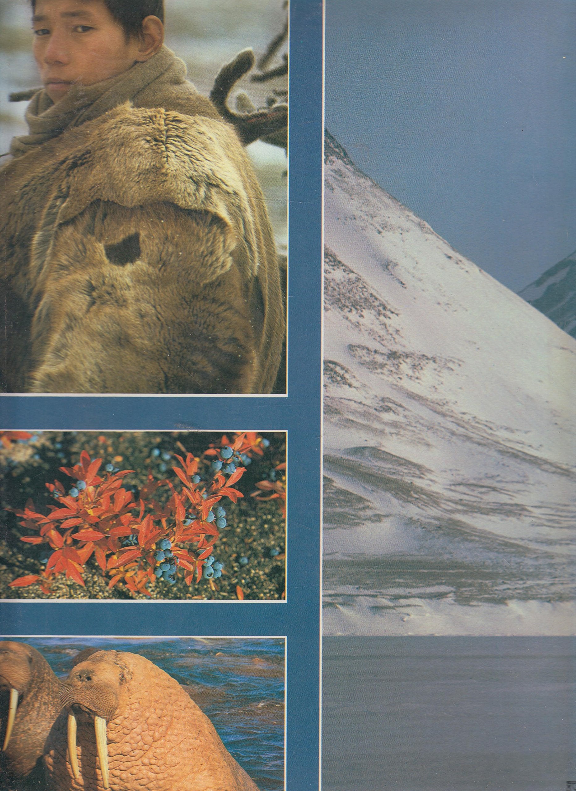 The Arctic World,Used