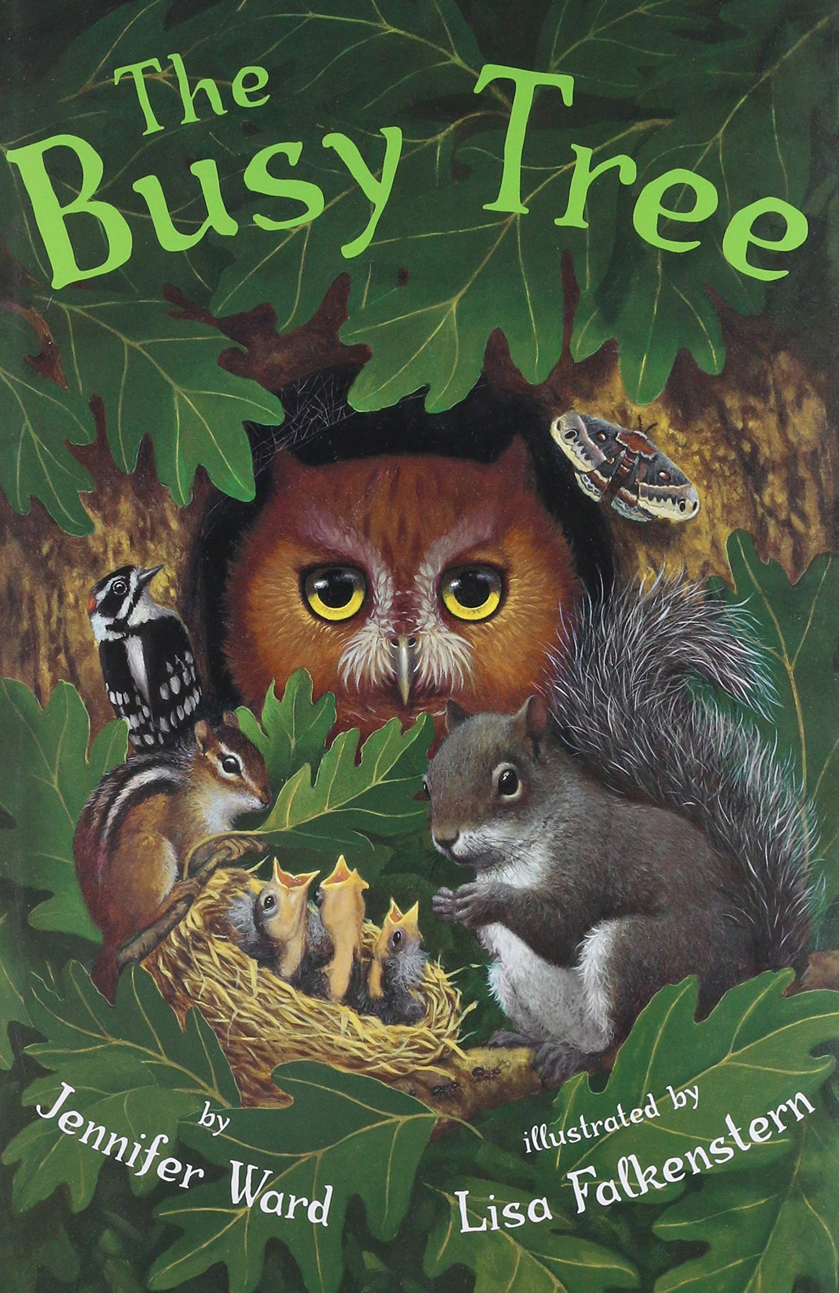 The Busy Tree,Used