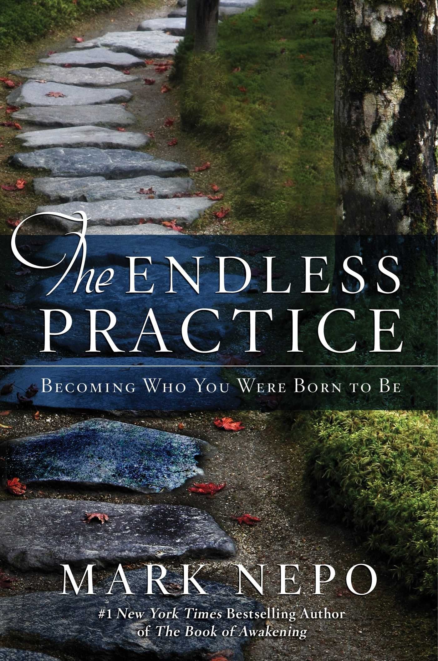 The Endless Practice: Becoming Who You Were Born to Be,Used