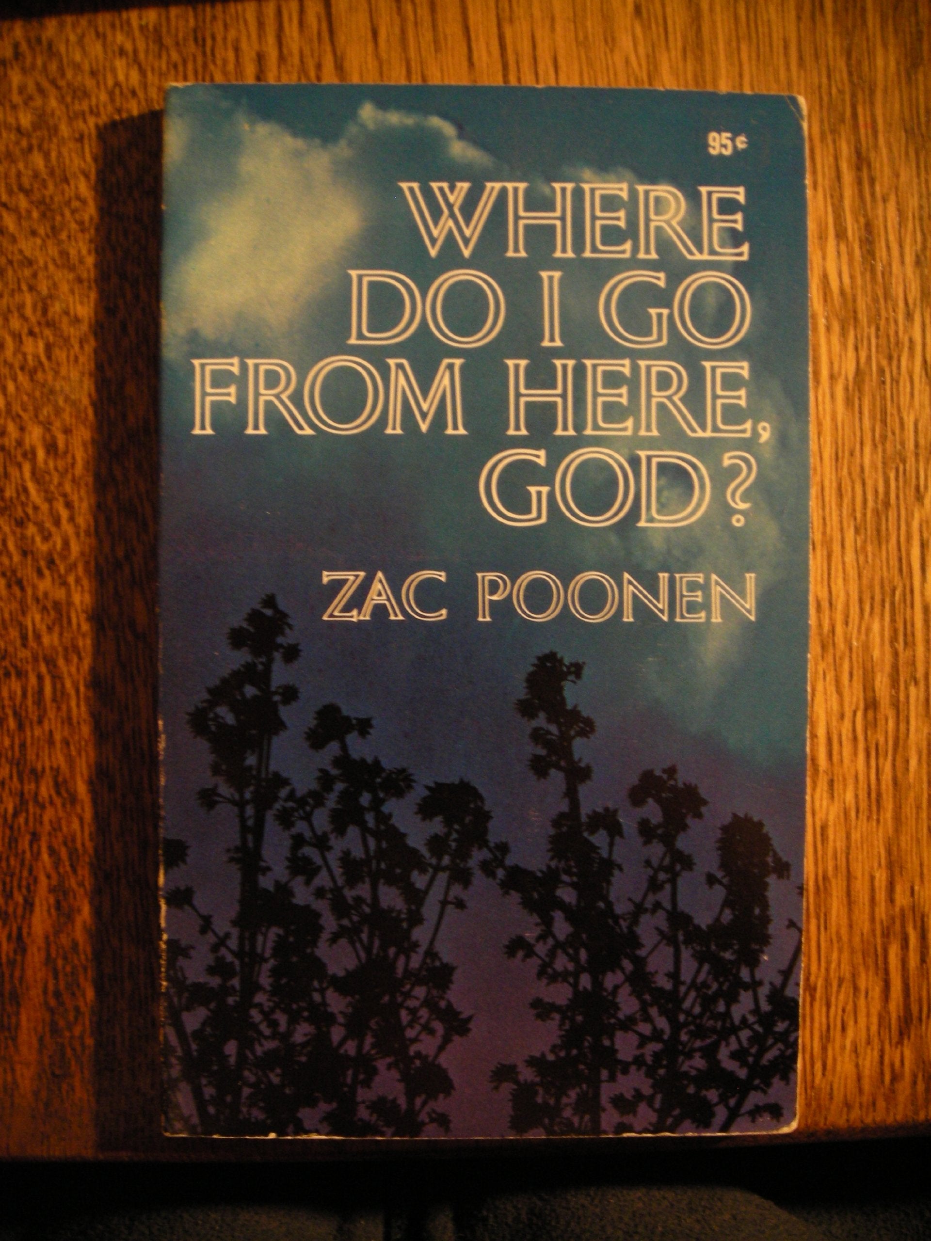 Where do I go from here, God?,New
