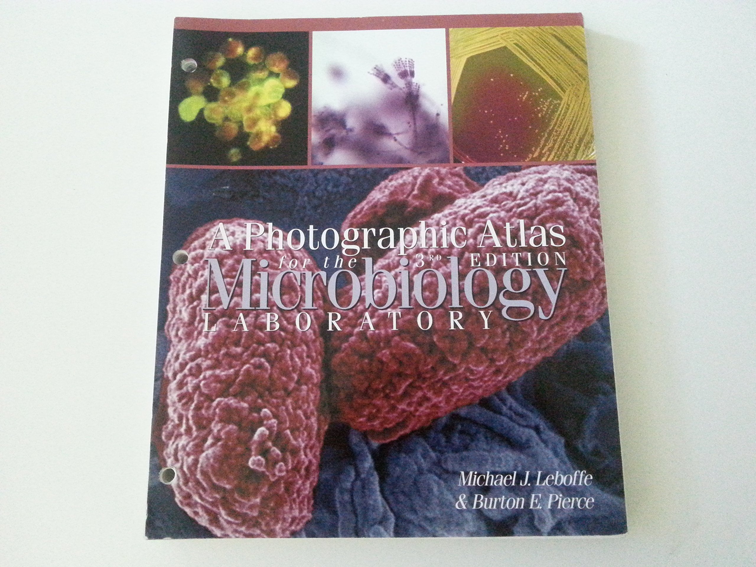 A Photographic Atlas For The Microbiology Laboratory,New