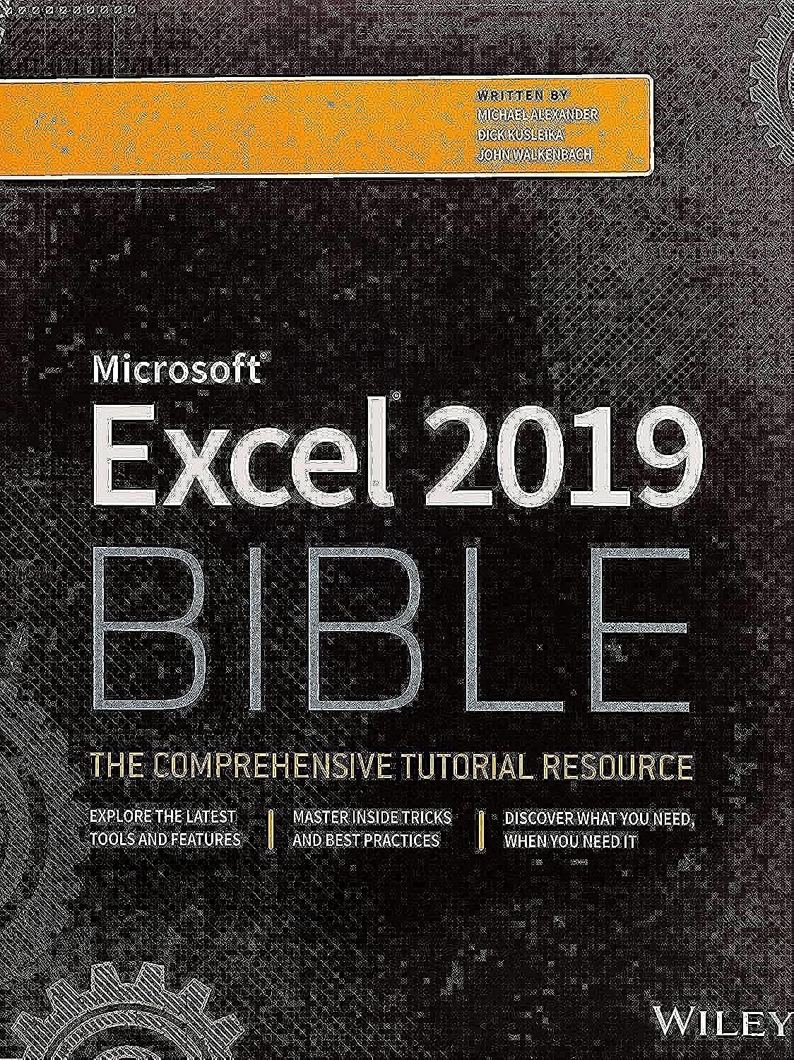 Excel 2019 Bible,Used