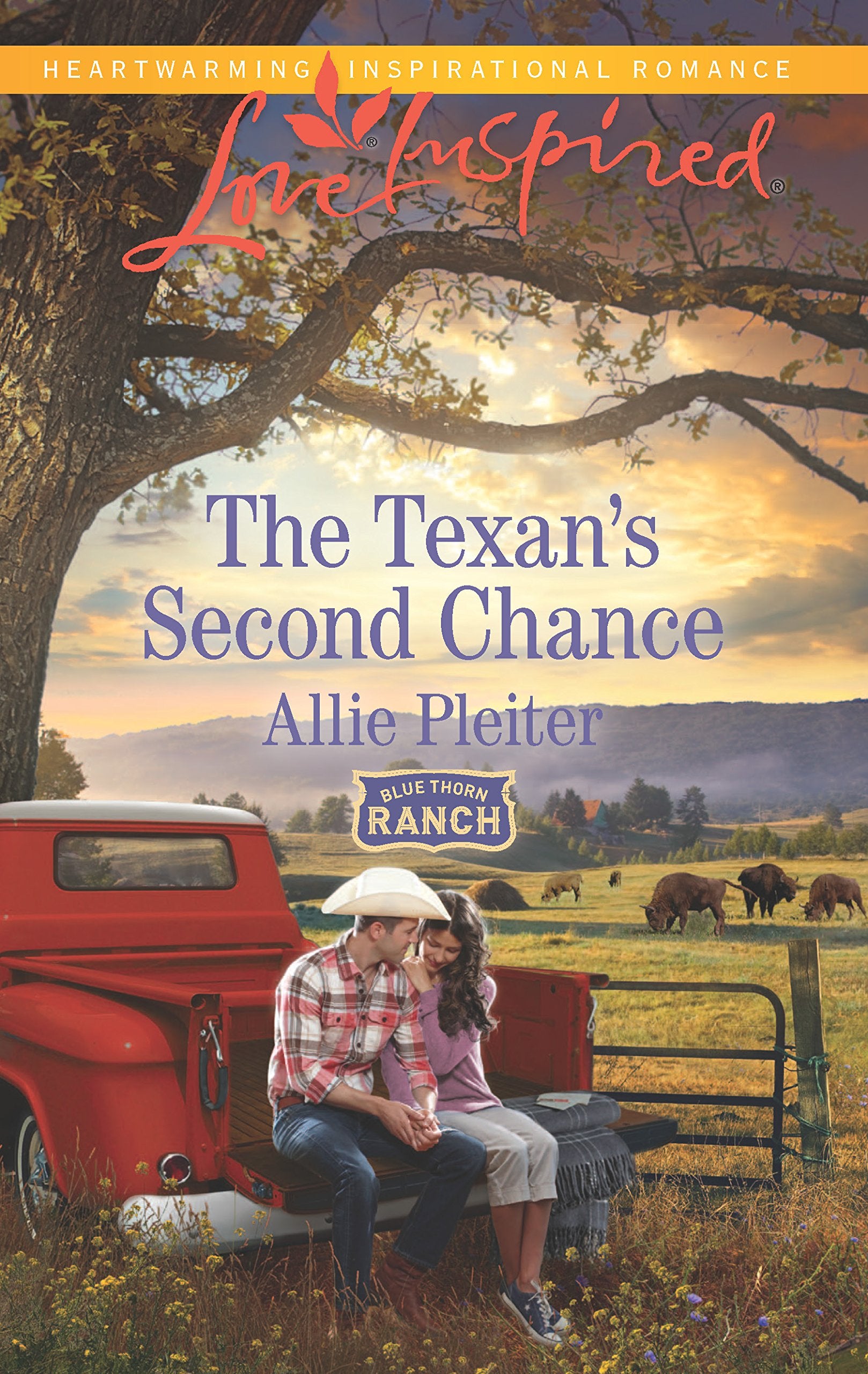 The Texan's Second Chance (Blue Thorn Ranch, 3),Used