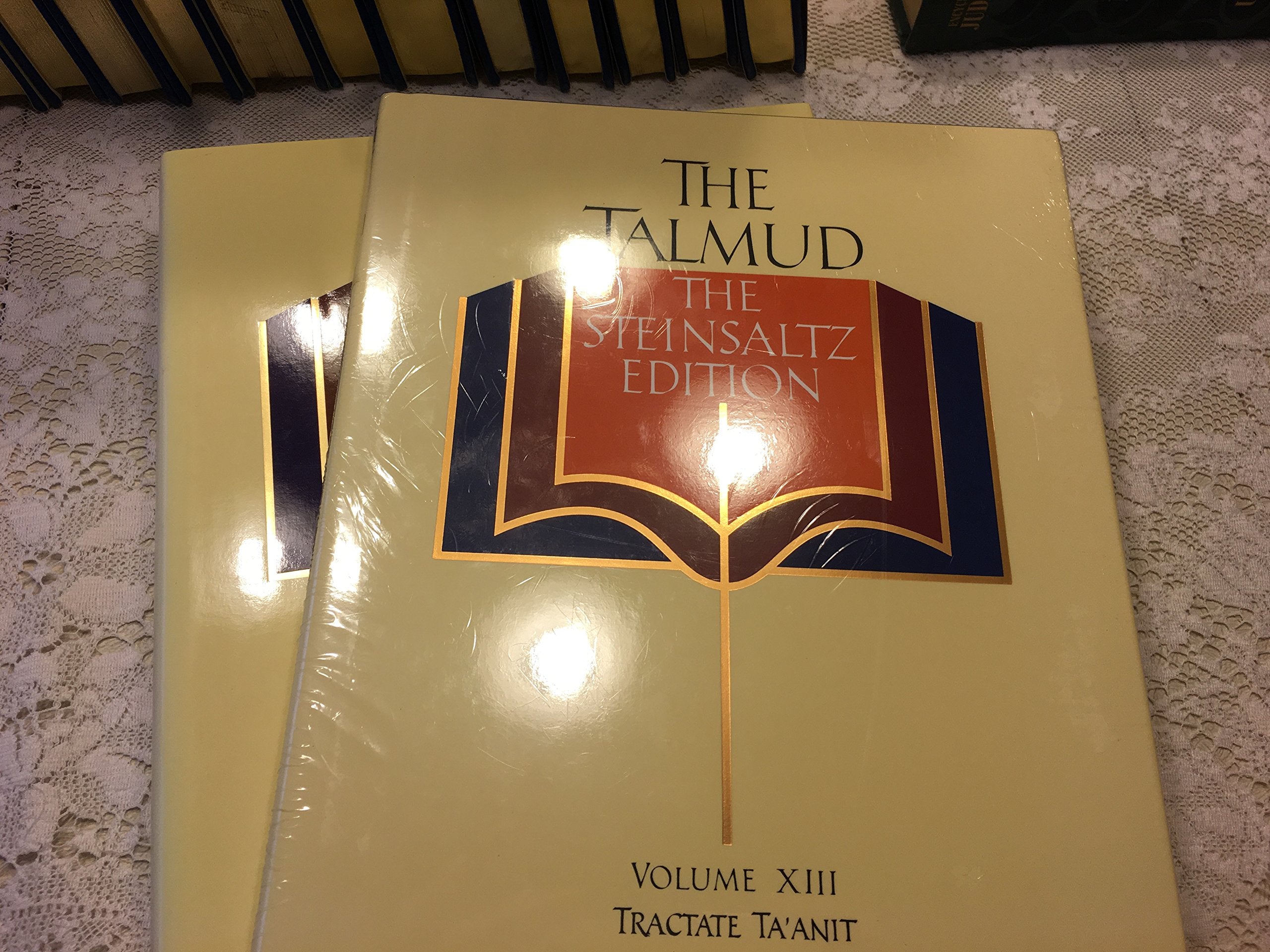 The Talmud, The Steinsaltz Edition: A Reference Guide (English and Hebrew Edition),Used