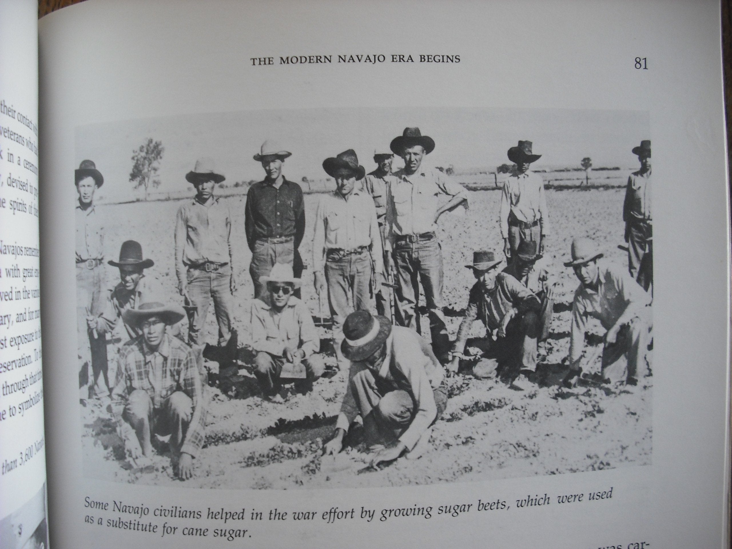The Navajos (Indians of North America),Used