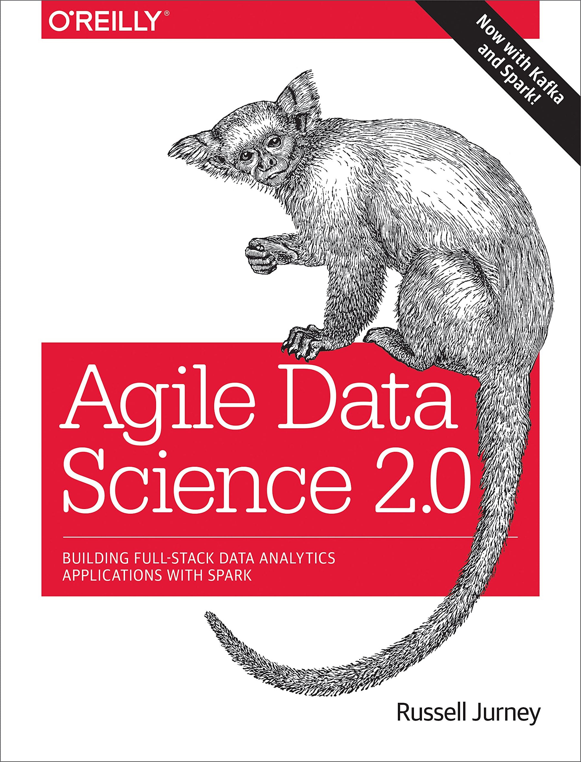 Agile Data Science 2.0: Building FullStack Data Analytics Applications With Spark,Used