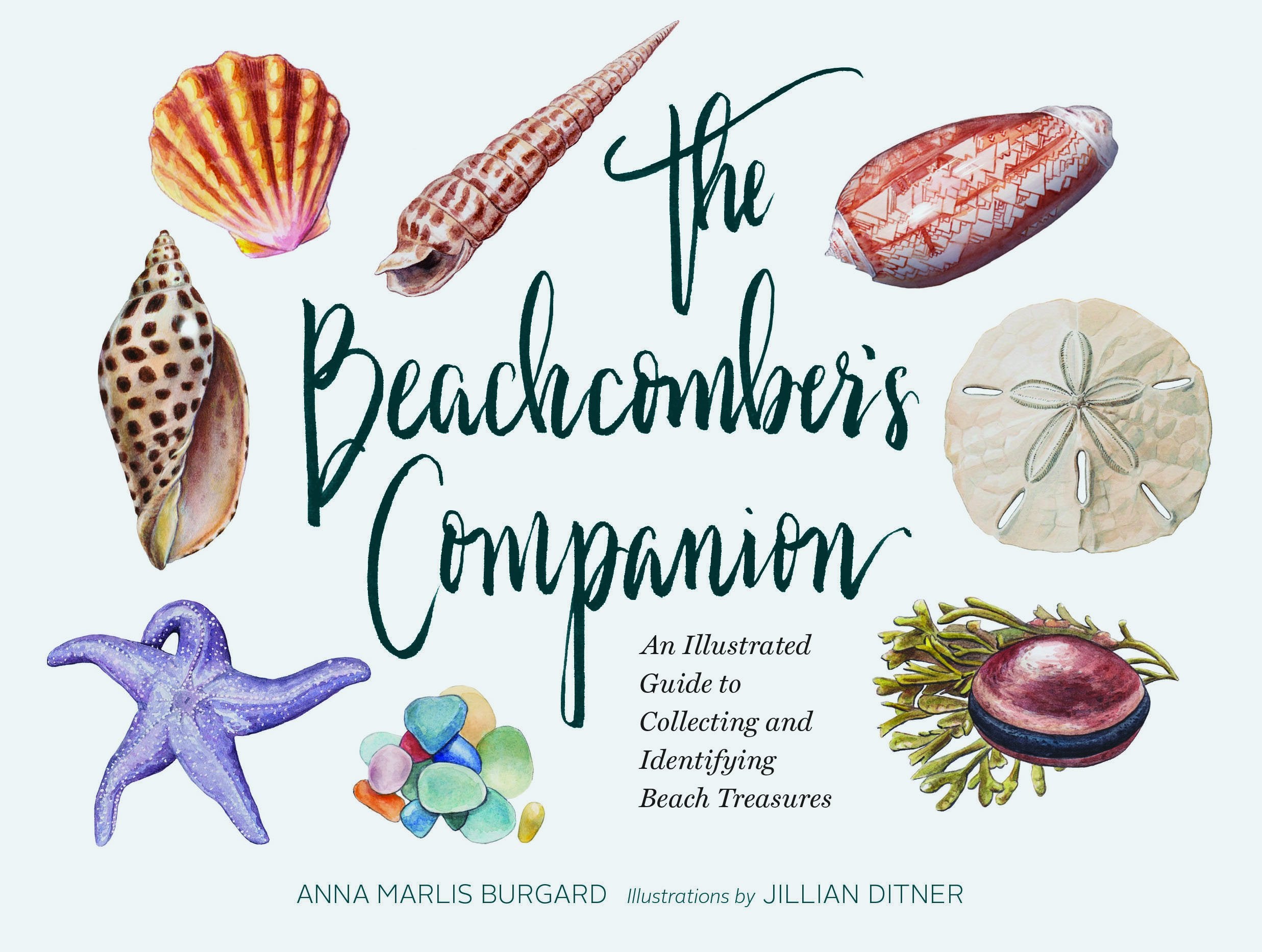 The Beachcomber'S Companion: An Illustrated Guide To Collecting And Identifying Beach Treasures (Watercolor Seashell And Shell C