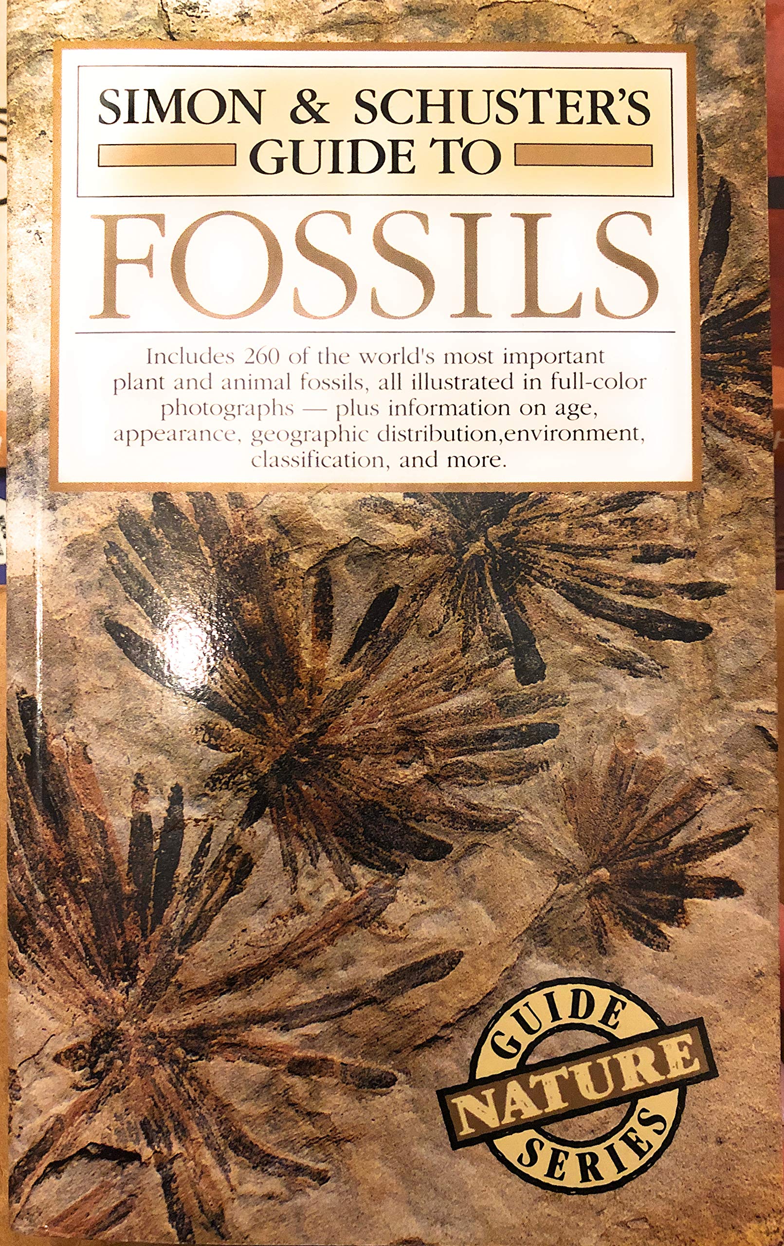 Simon & Schuster'S Guide To Fossils,Used