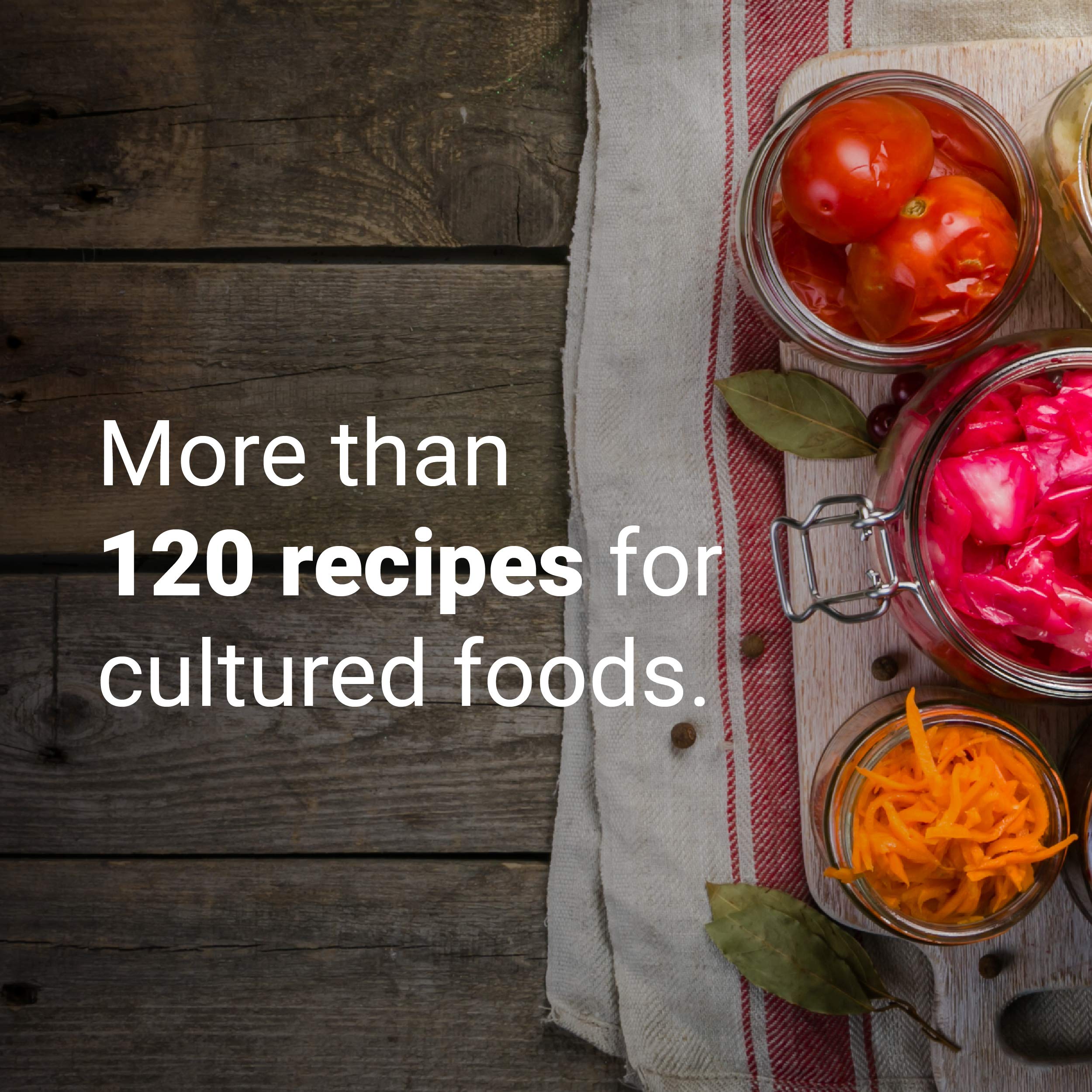 Ferment: A Guide to the Ancient Art of Culturing Foods, from Kombucha to Sourdough,Used