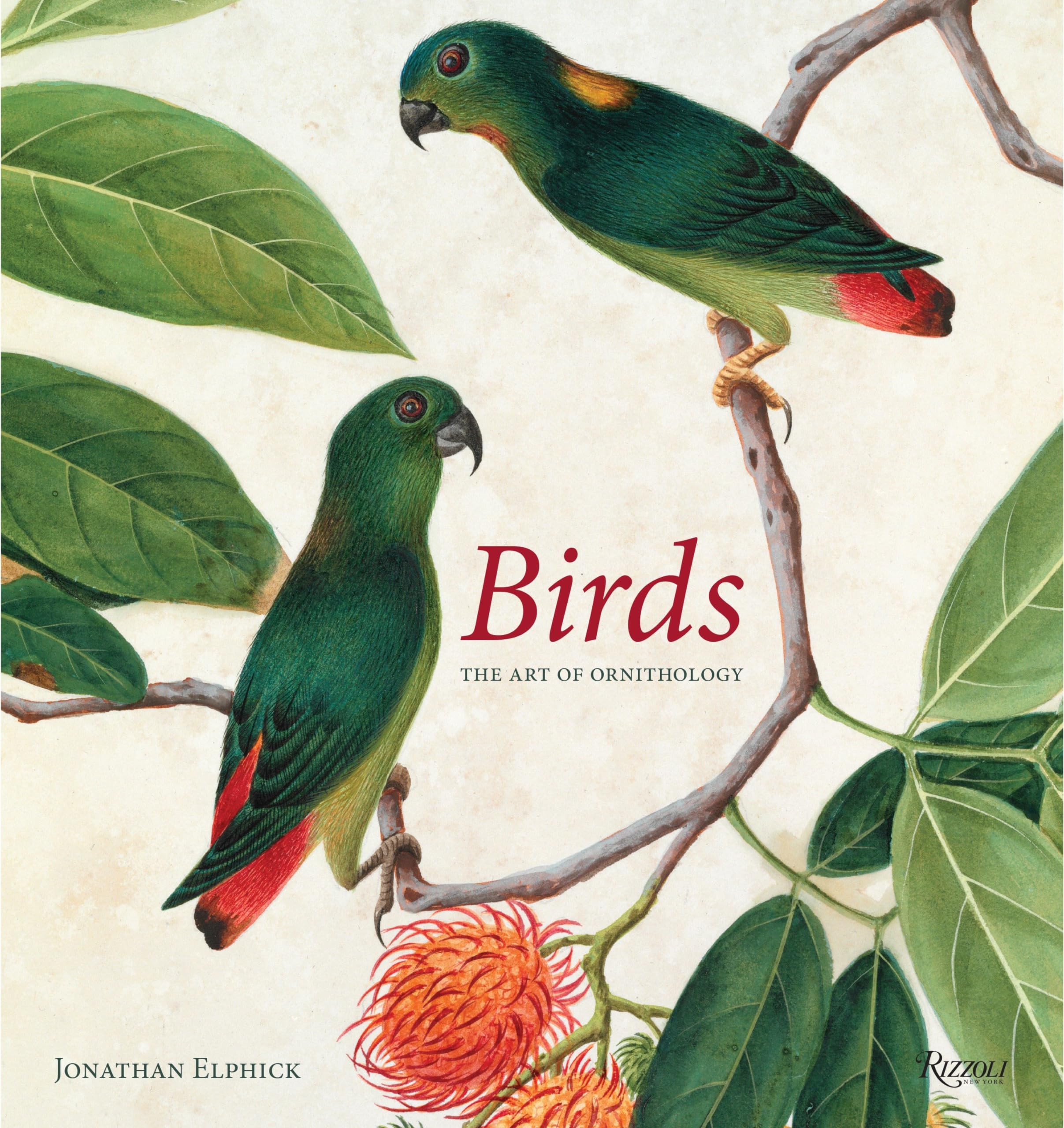 Birds: The Art of Ornithology (Rizzoli Classics),New