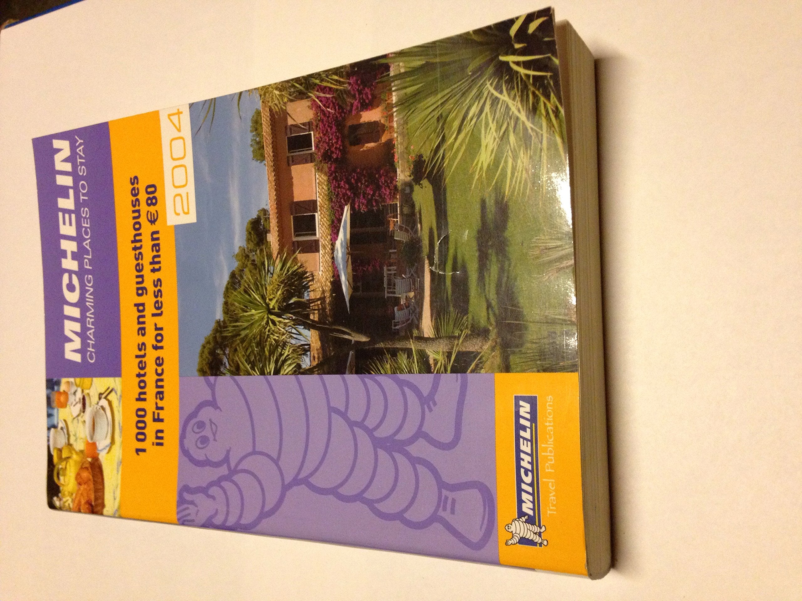 Michelin Charming Places to Stay : 1000 Hotels and Guesthouses in France for Less Than 80 (Charming Places to Stay in France),Used