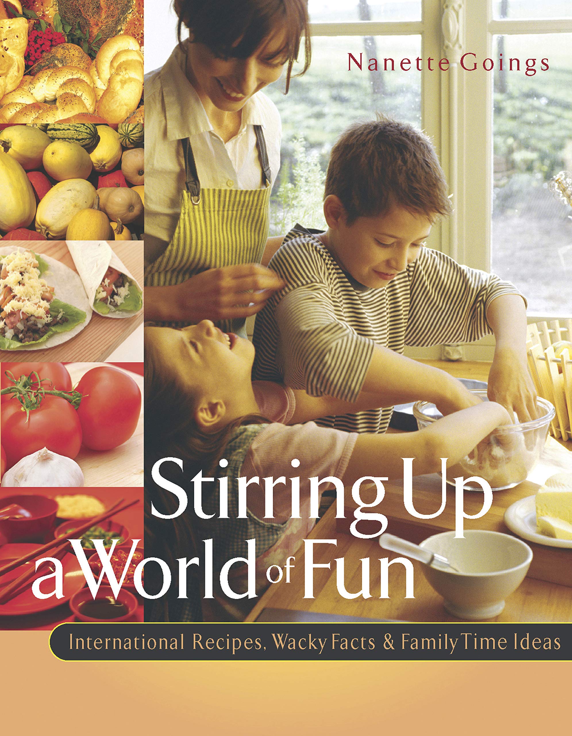 Stirring Up a World of Fun: International Recipes, Wacky Facts, and Family Time Ideas,Used