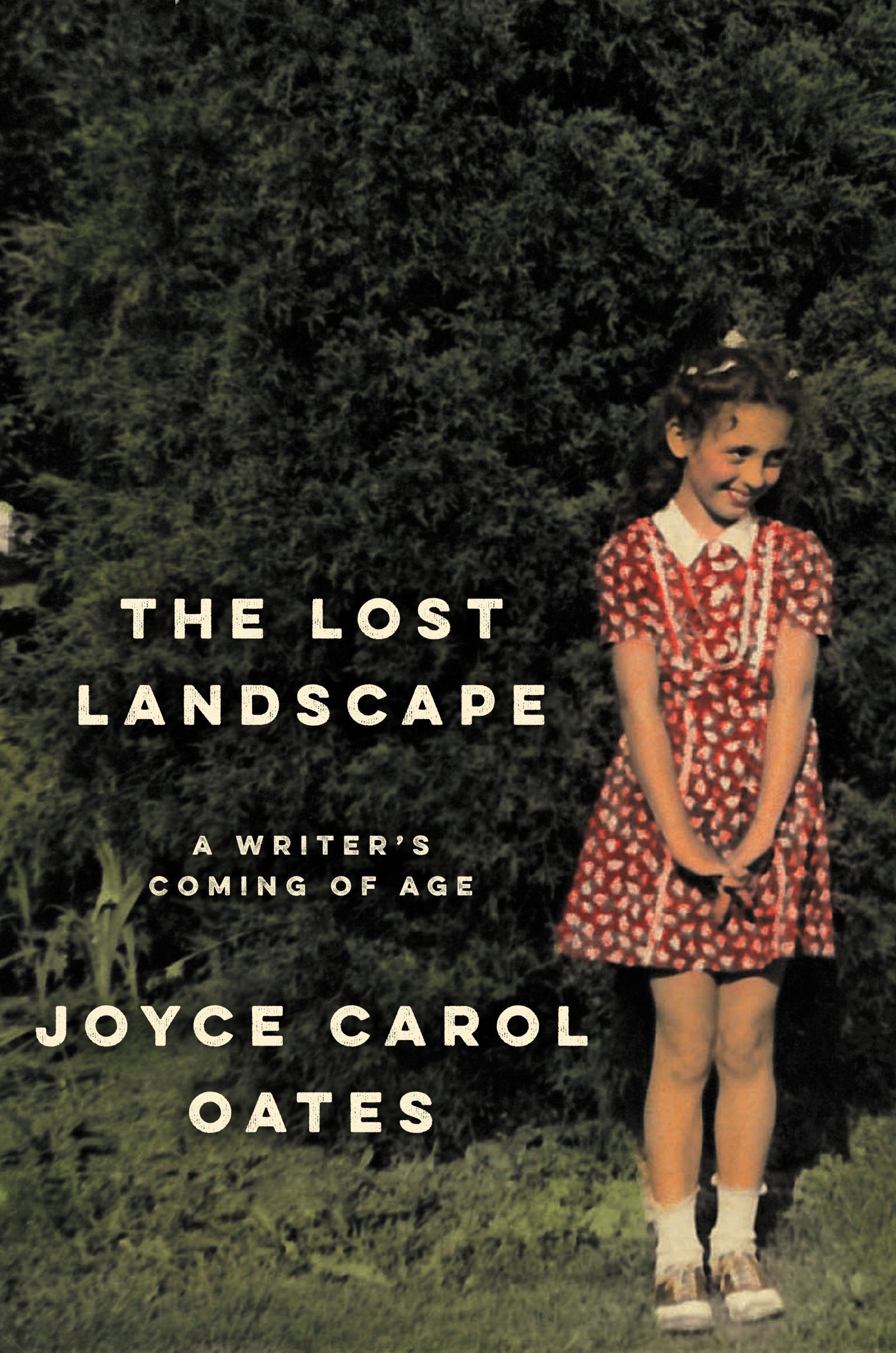 The Lost Landscape: A Writer's Coming of Age,Used