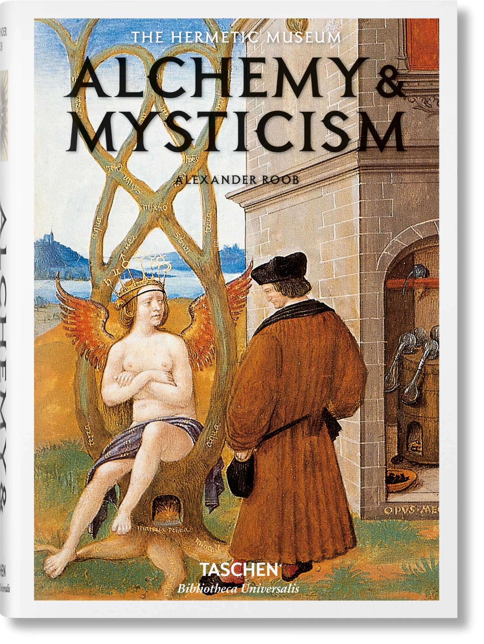 Alchemy & Mysticism,New