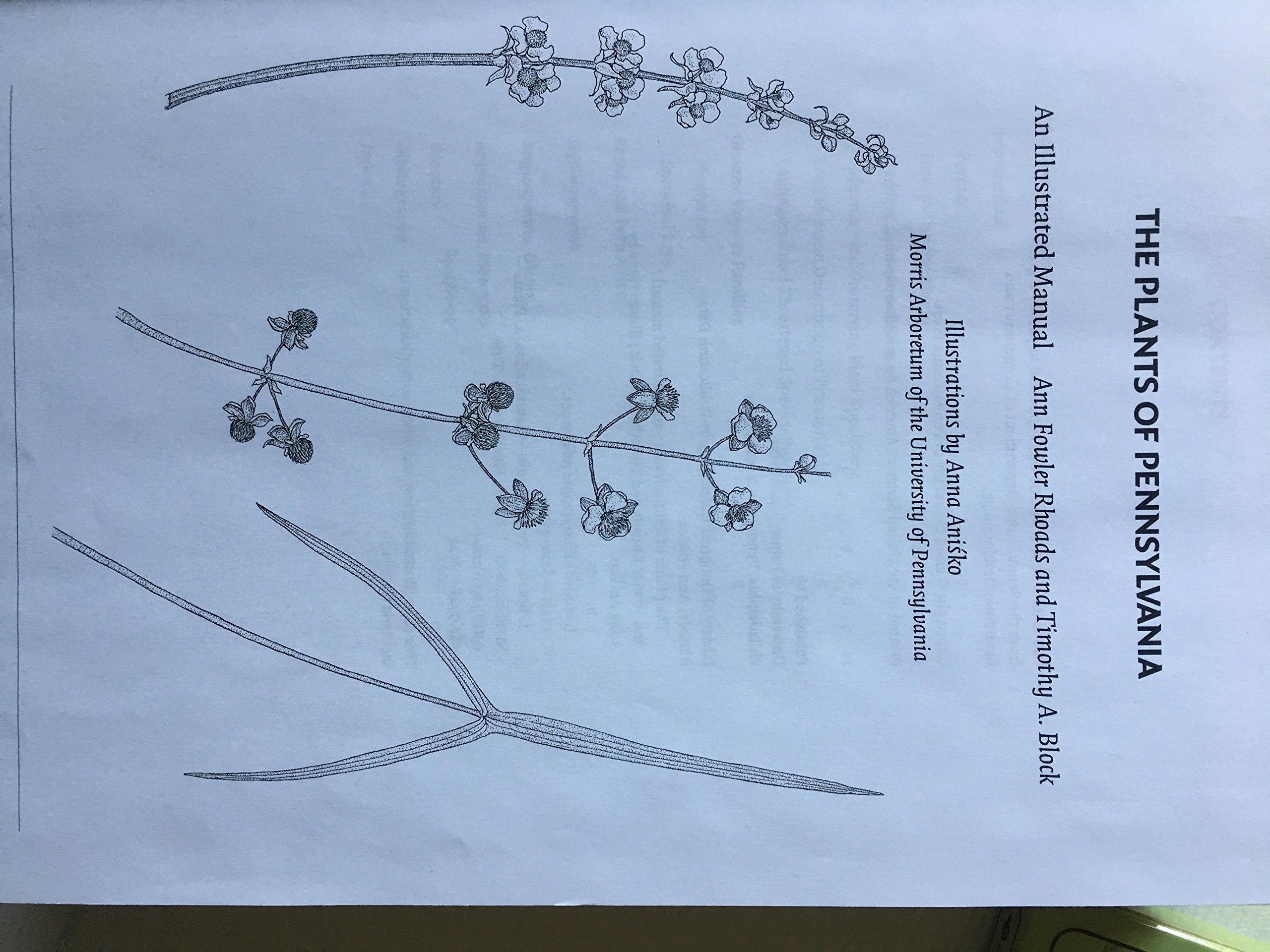 The Plants Of Pennsylvania: An Illustrated Manual,Used