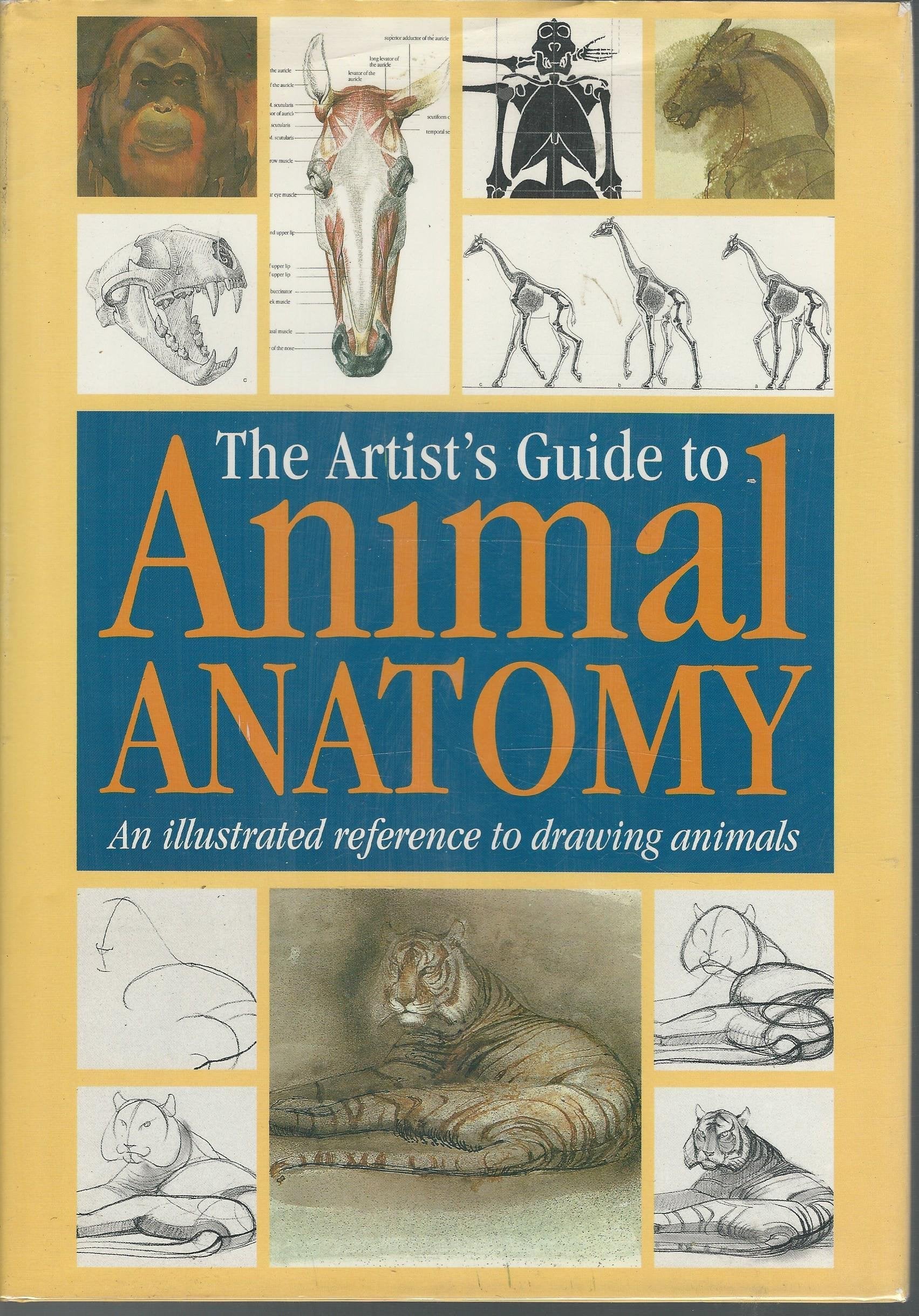 The Artist'S Guide To Animal Anatomy: An Illustrated Reference To Drawing Animals