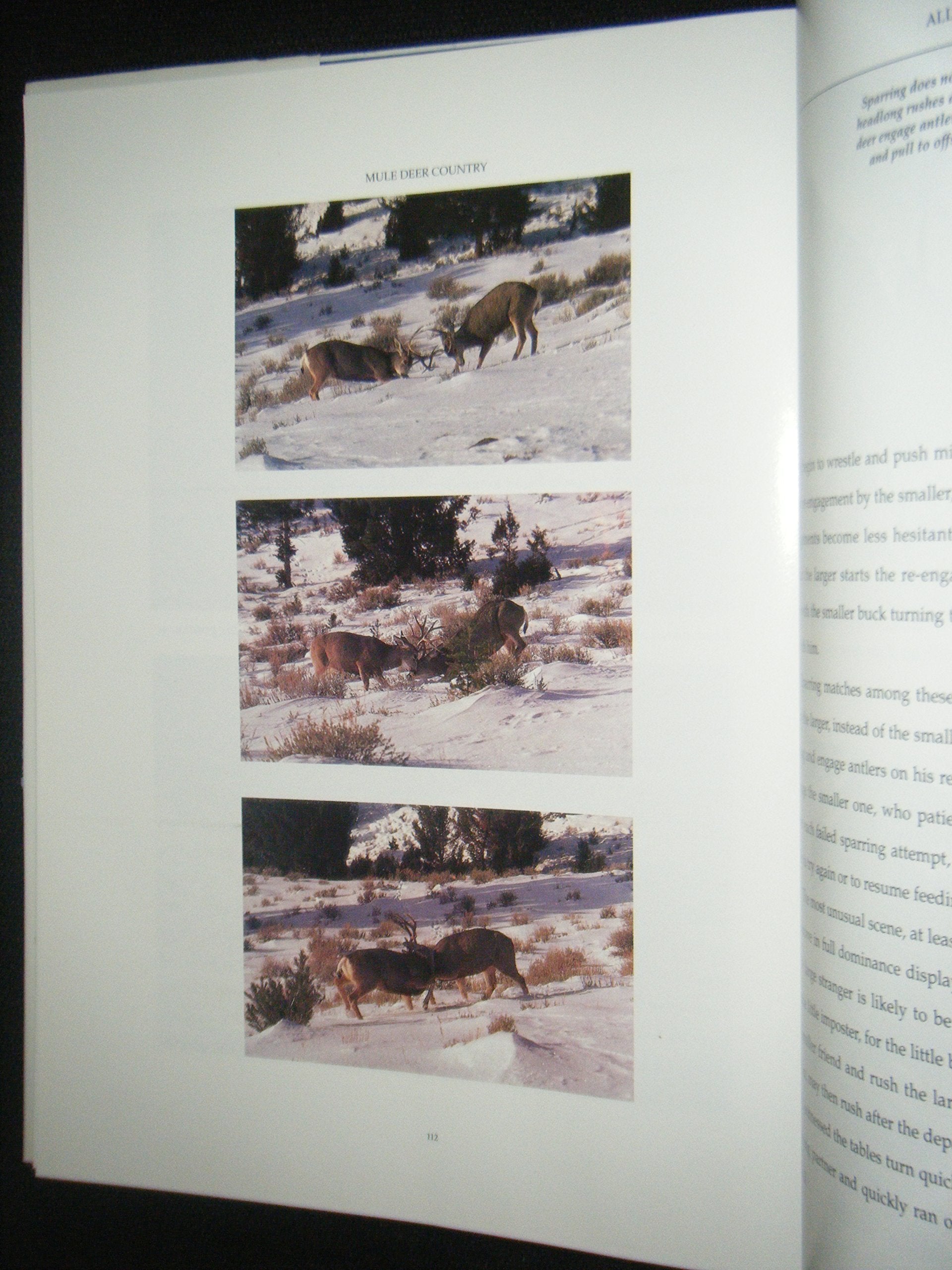 Mule Deer Country,Used