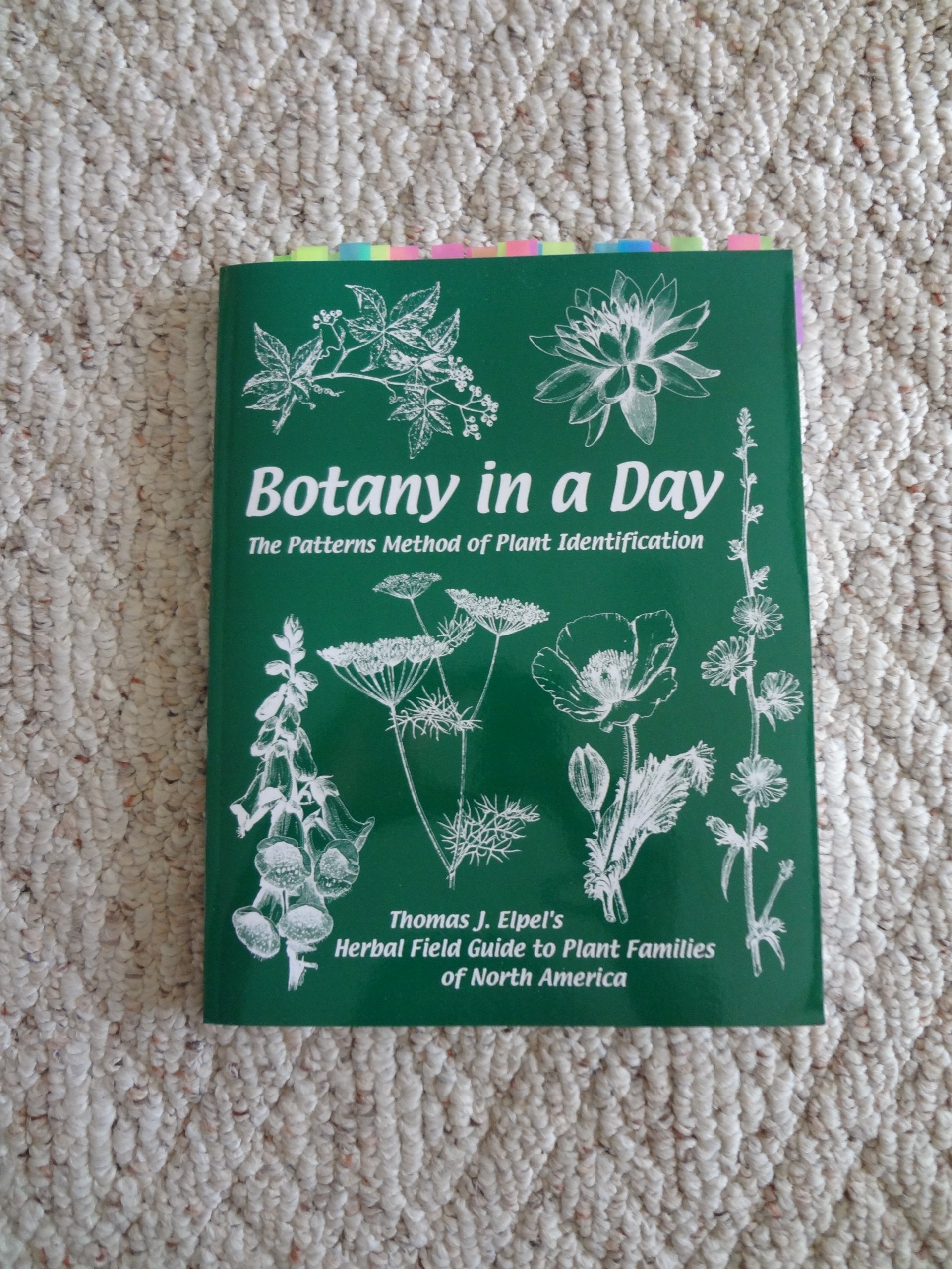 Botany in a Day: The Patterns Method of Plant Identification,New
