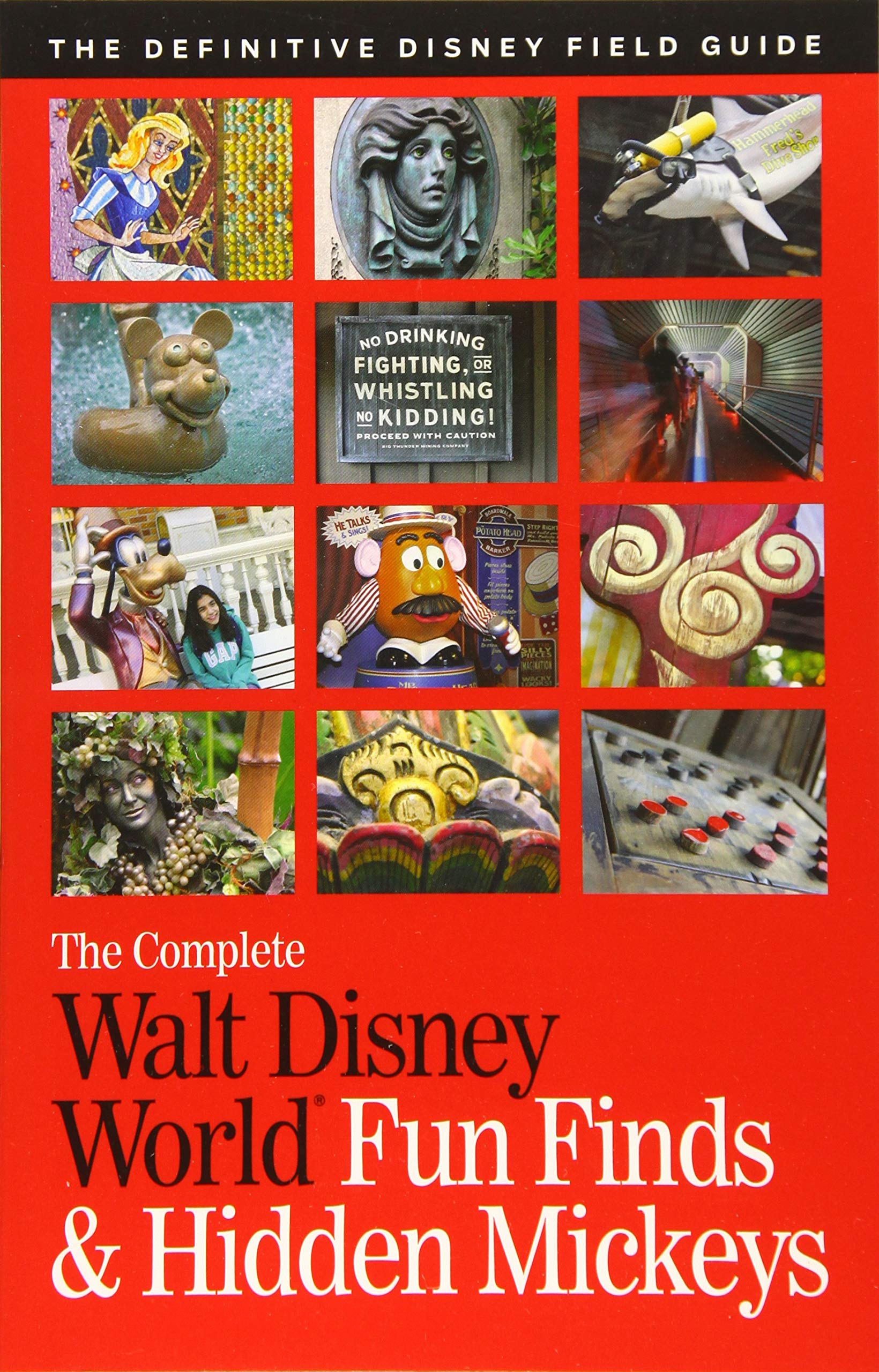 The Complete Walt Disney World Fun Finds & Hidden Mickeys: The Definitive Disney Field Guide,Used