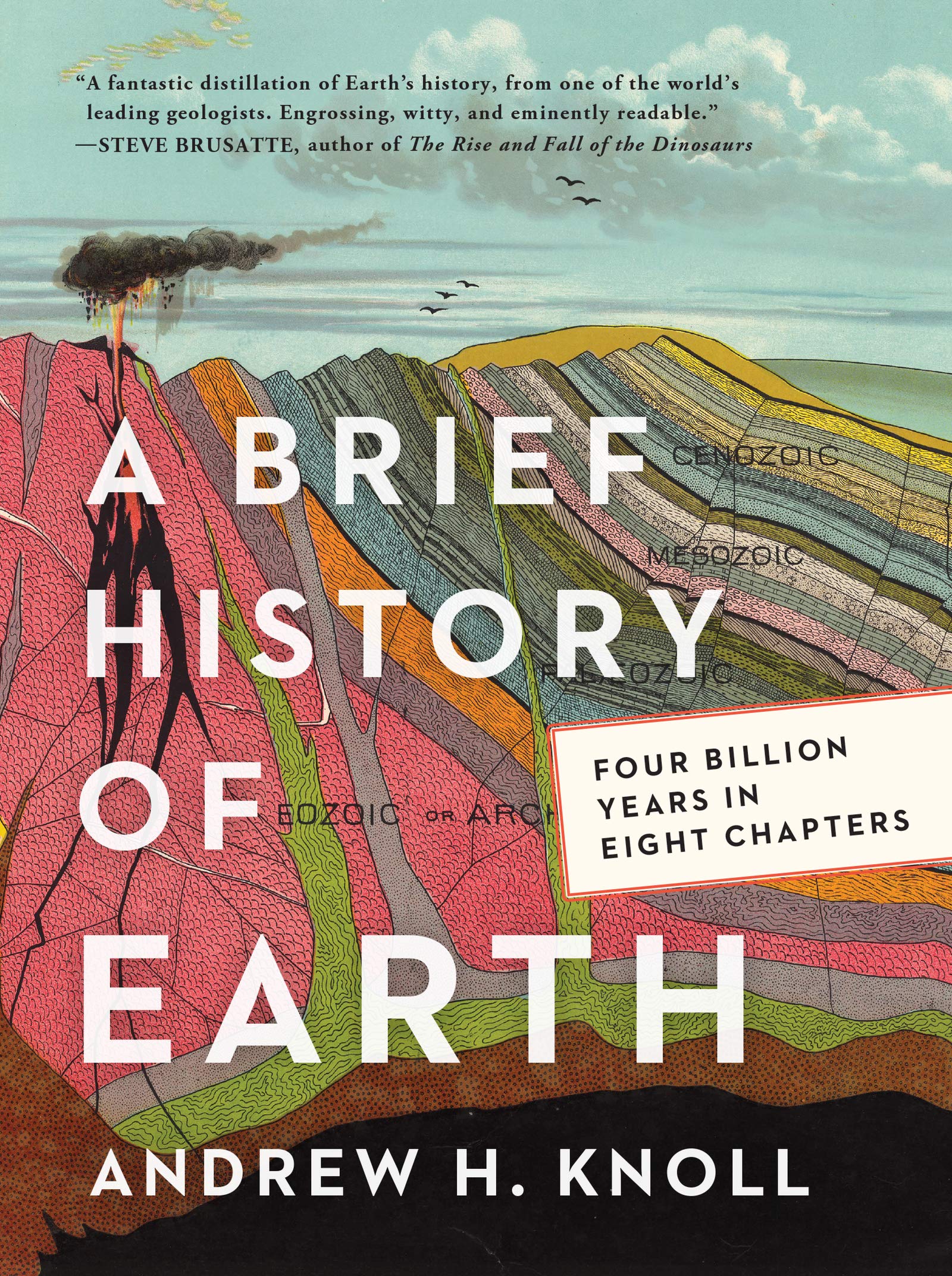 A Brief History Of Earth: Four Billion Years In Eight Chapters,New