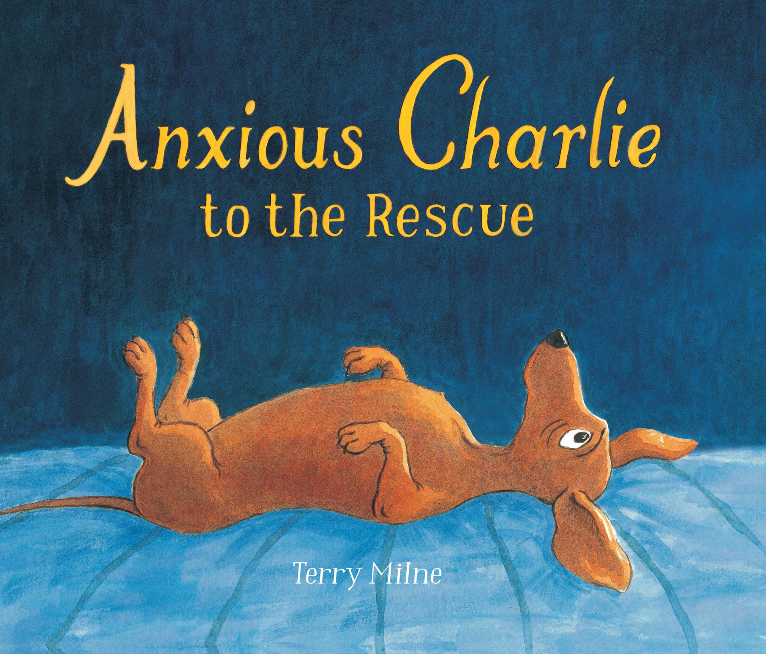 Anxious Charlie to the Rescue,Used