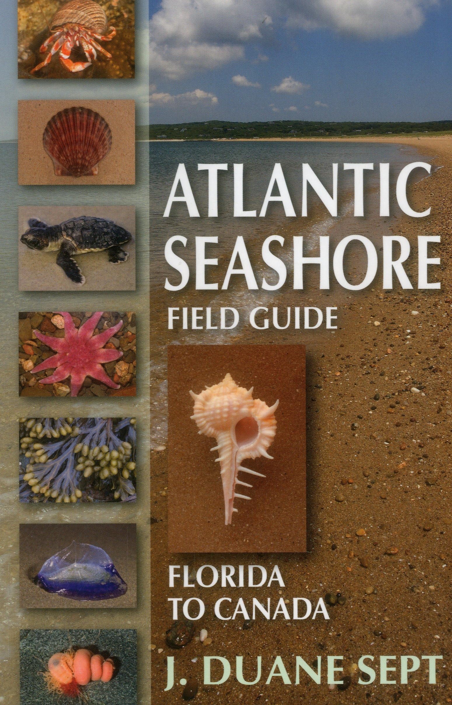 Atlantic Seashore Field Guide: Florida To Canada,Used