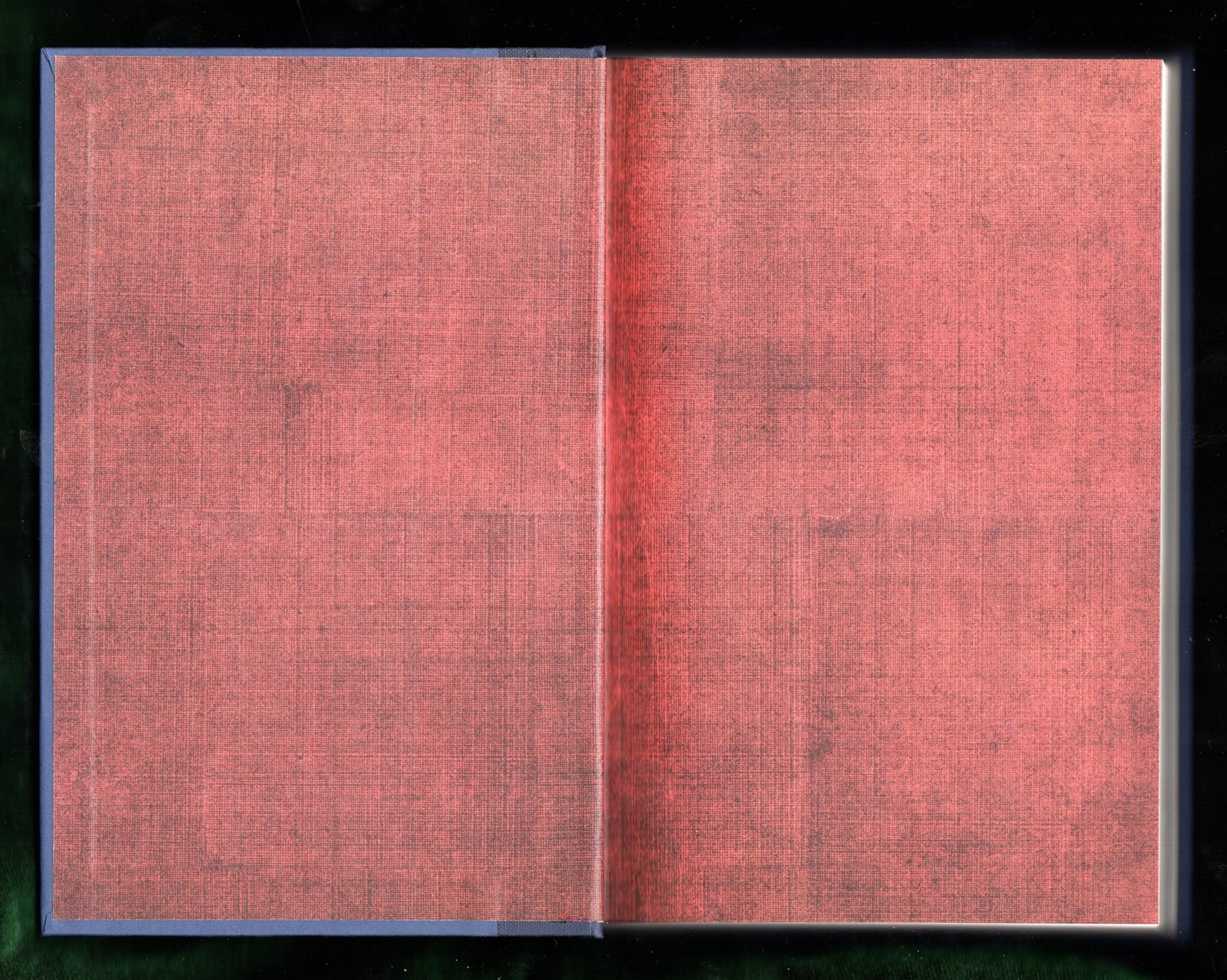 Bellman & Black: A Novel,New