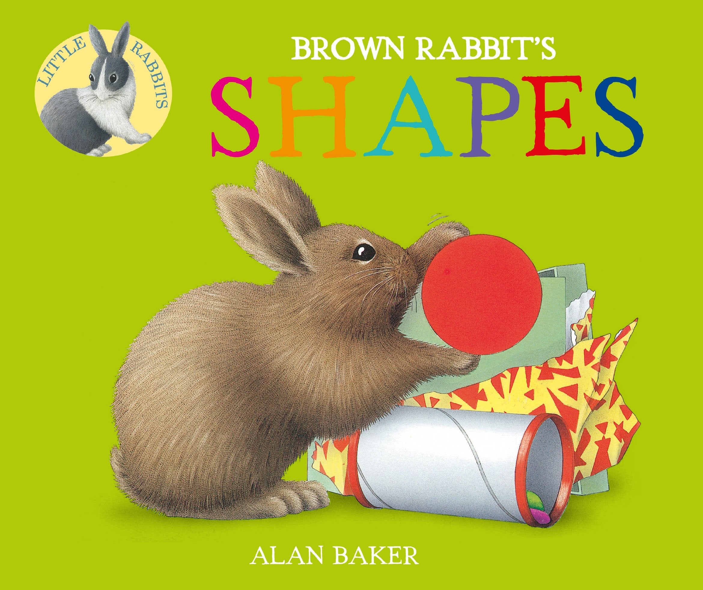 Brown Rabbit's Shapes (Little Rabbit Books),Used