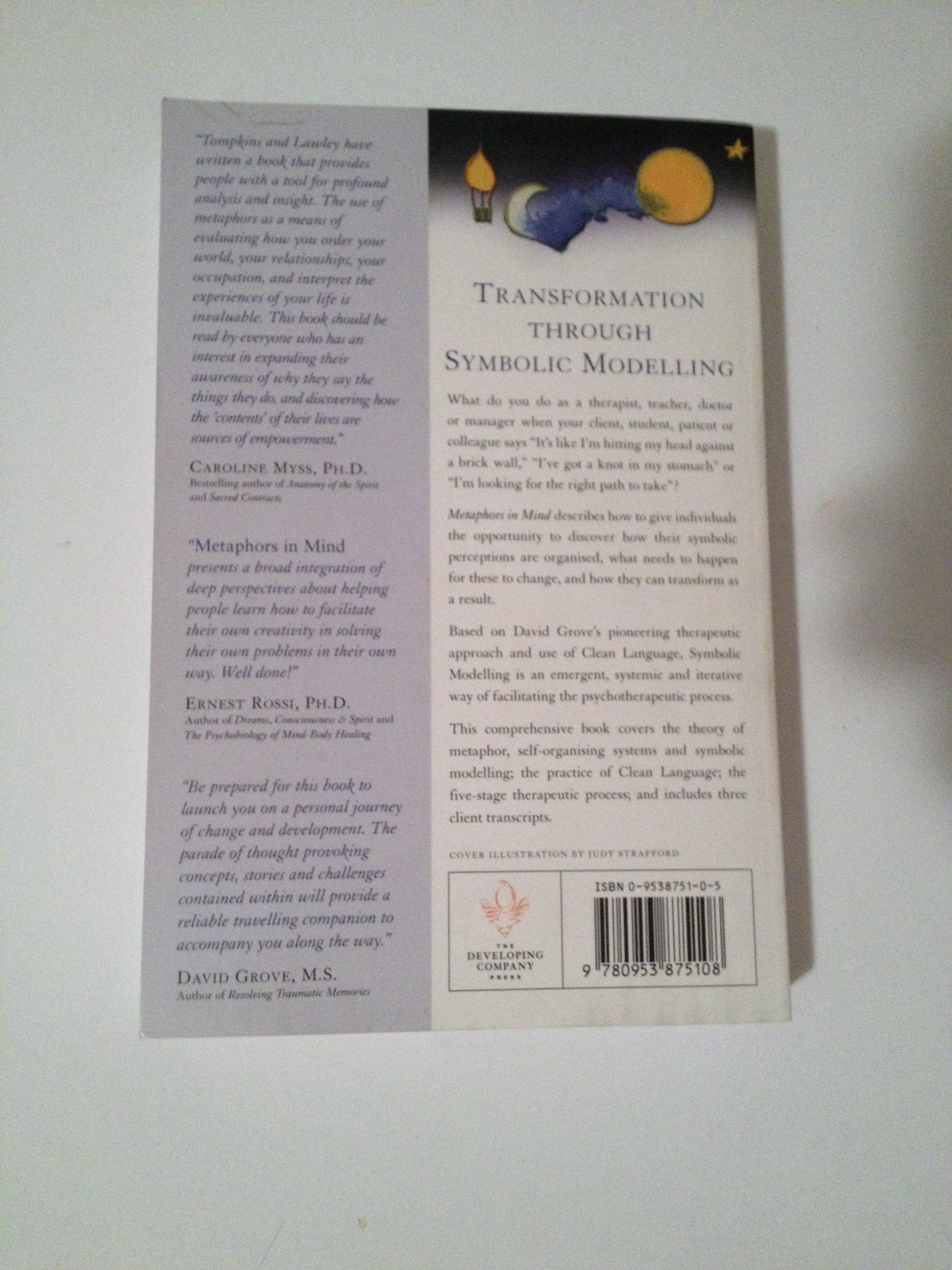 Metaphors in Mind: Transformation through Symbolic Modelling,Used