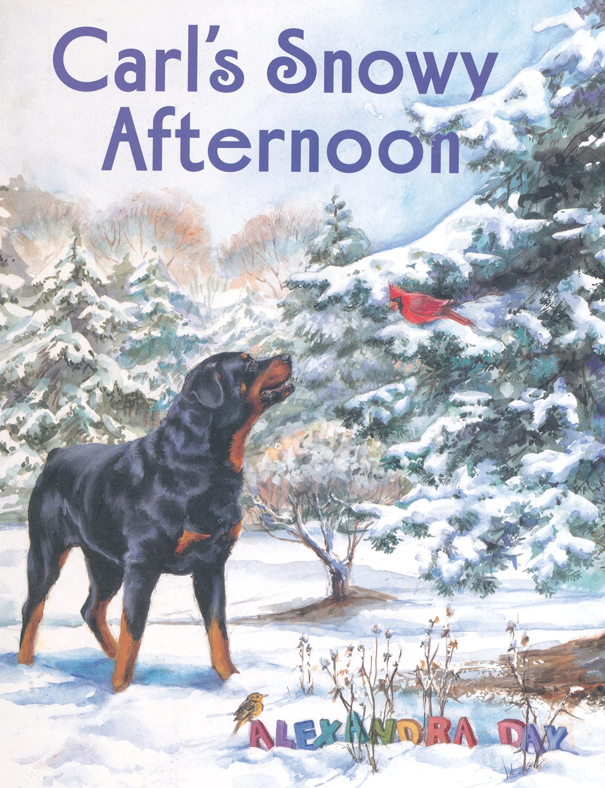 Carl's Snowy Afternoon,Used