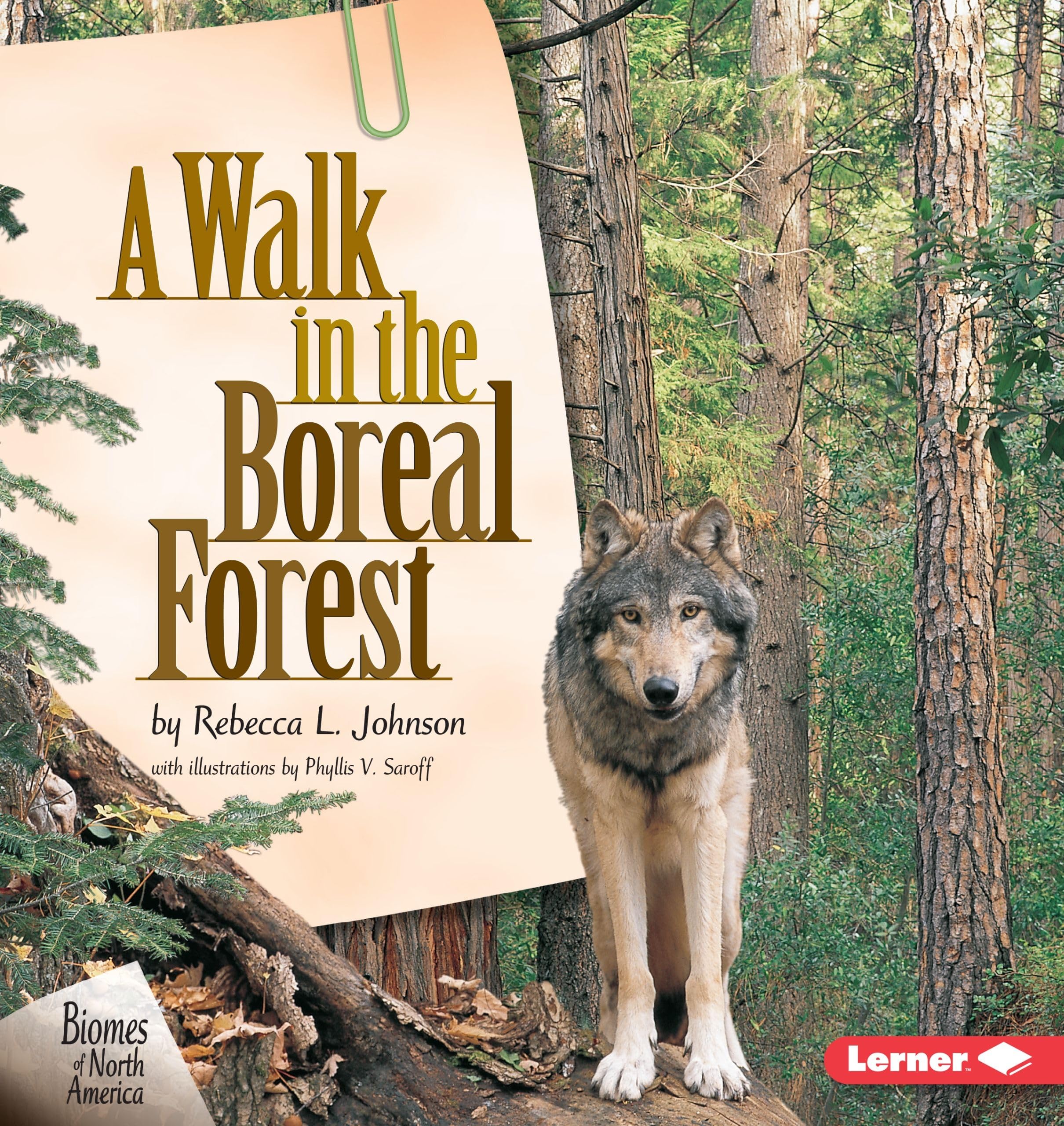 A Walk in the Boreal Forest,Used