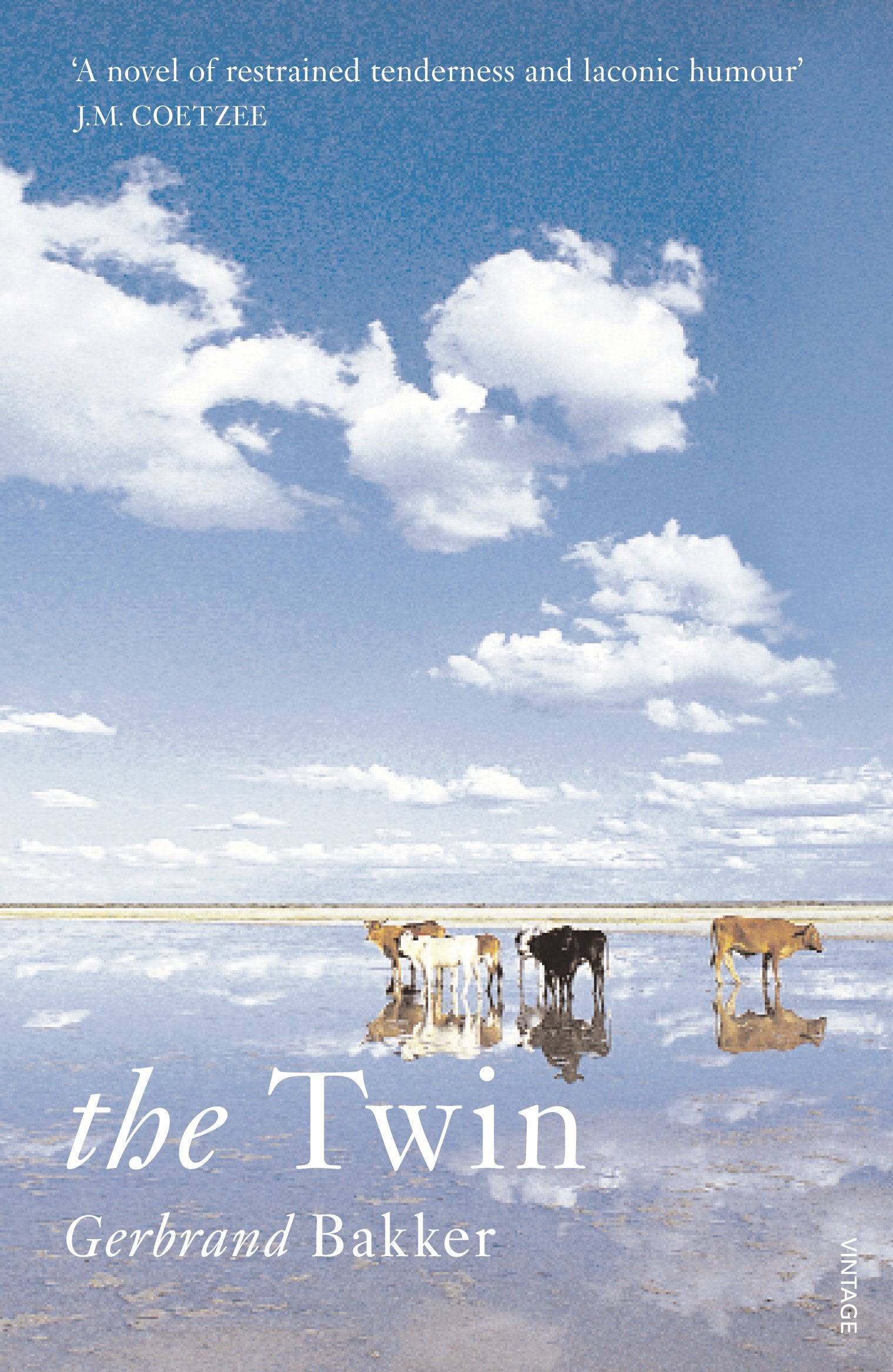 The Twin,Used