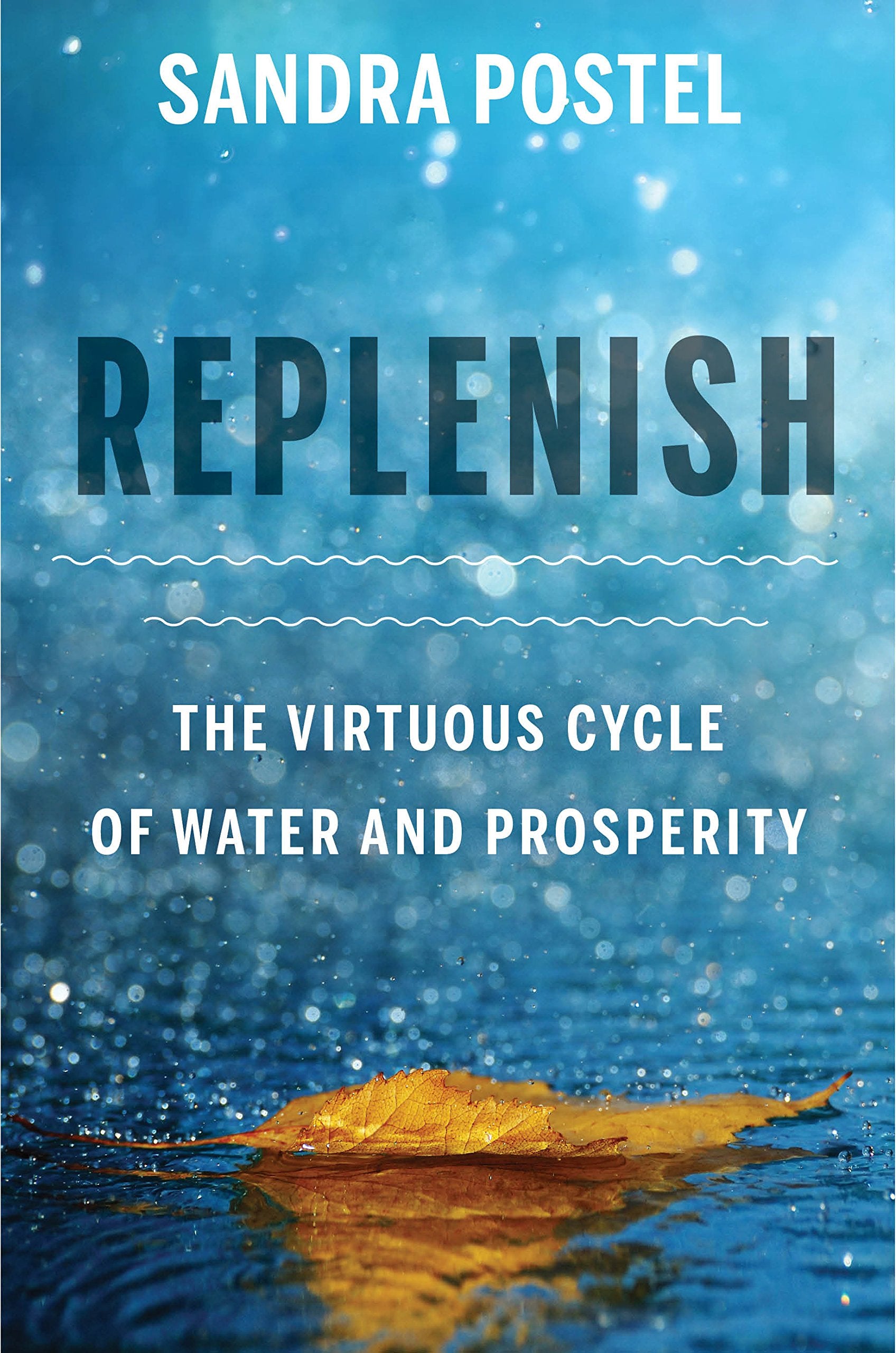 Replenish: The Virtuous Cycle of Water and Prosperity,New