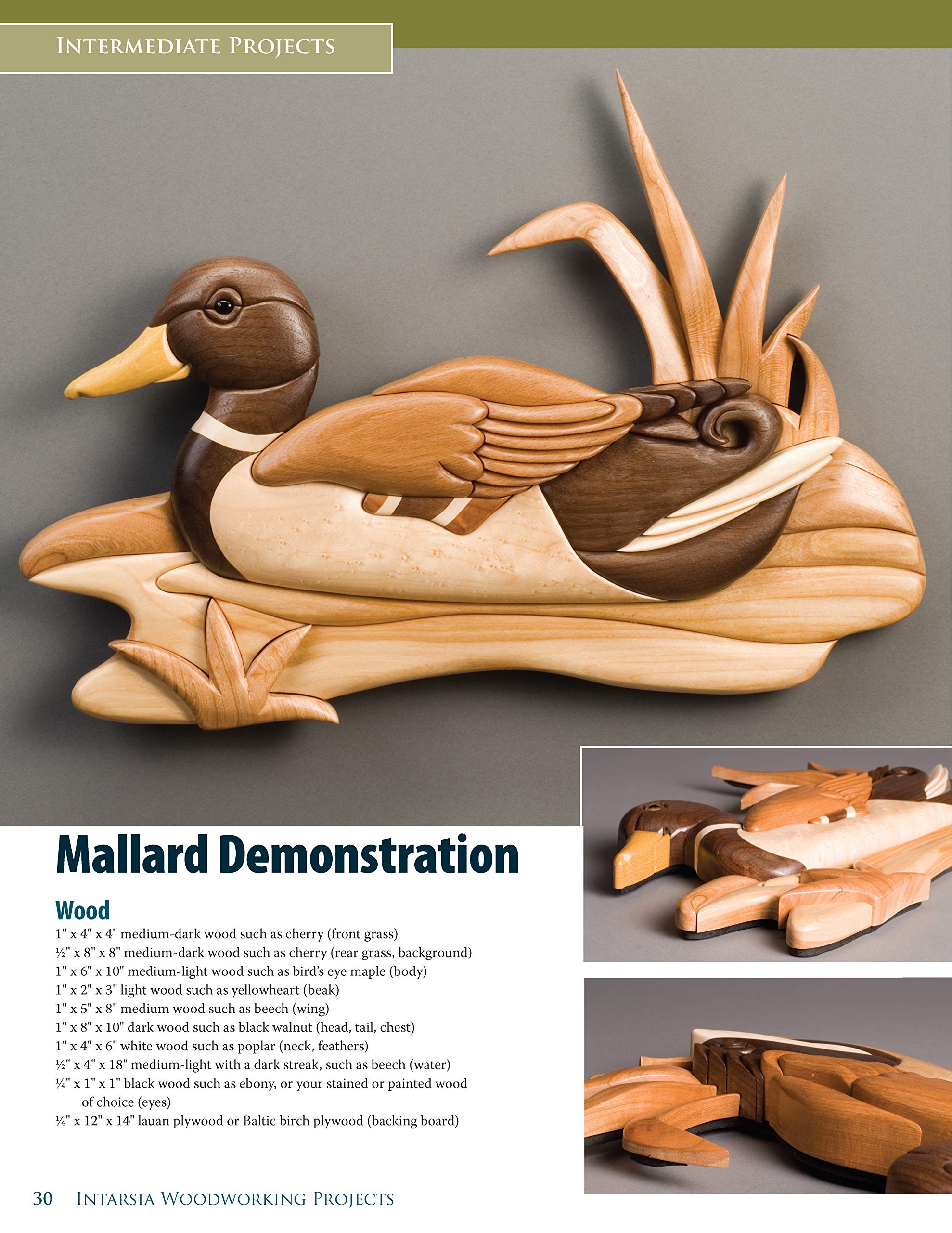 Intarsia Woodworking Projects: 21 Original Designs with FullSize Plans and Expert Instruction for All Skill Levels (Fox Chapel ,Used