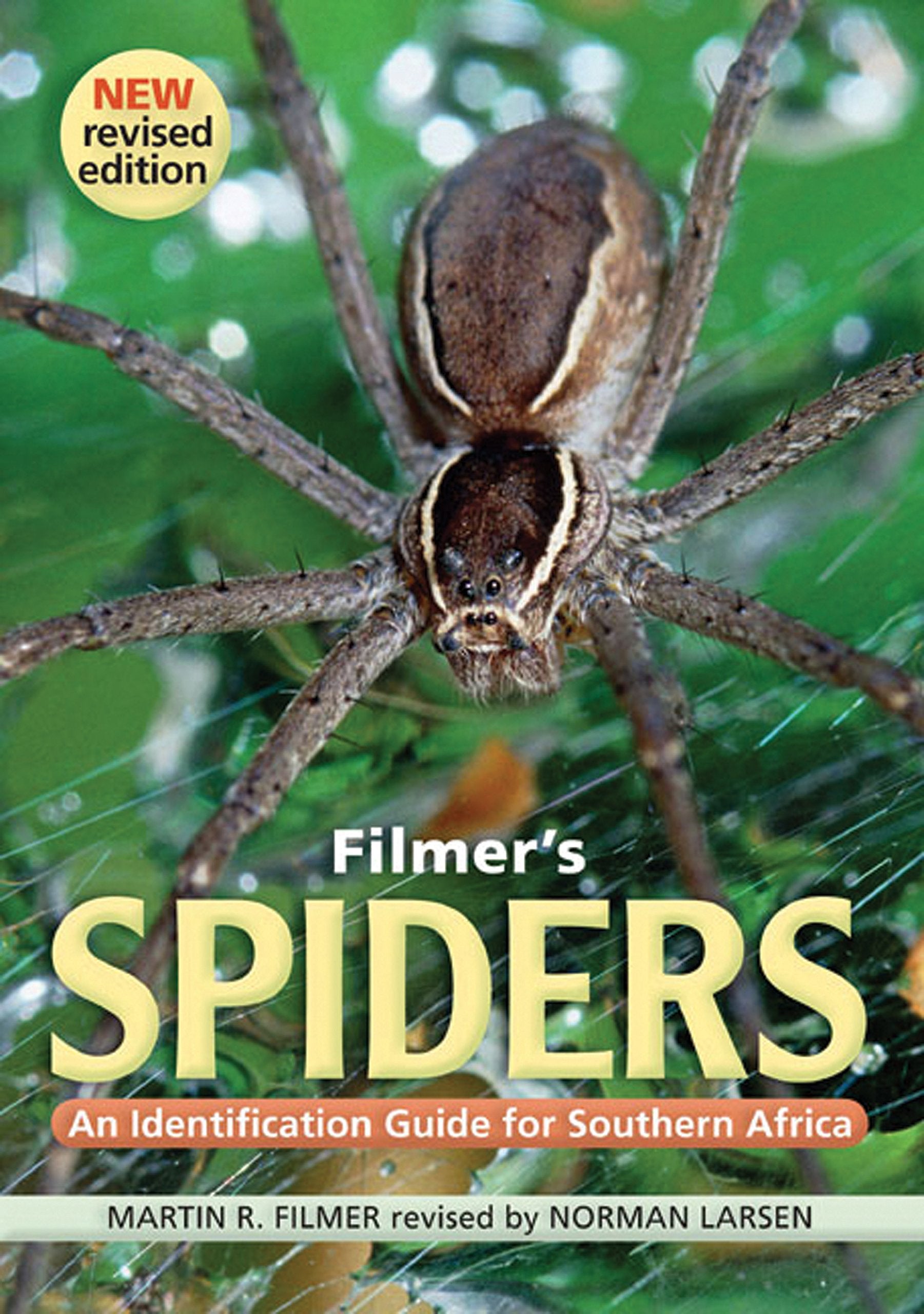 Filmers Spiders: An Identification Guide for Southern Africa,Used
