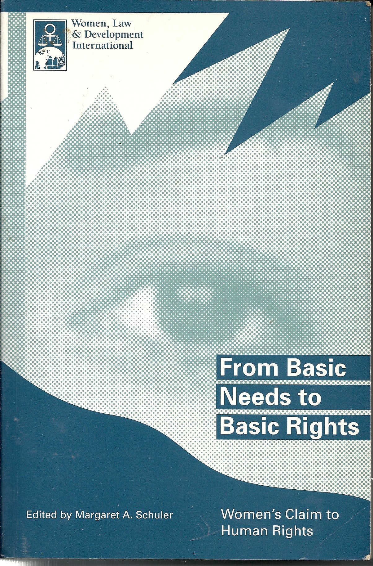 From Basic Needs to Basic Rights: Women's Claim to Human Rights,Used