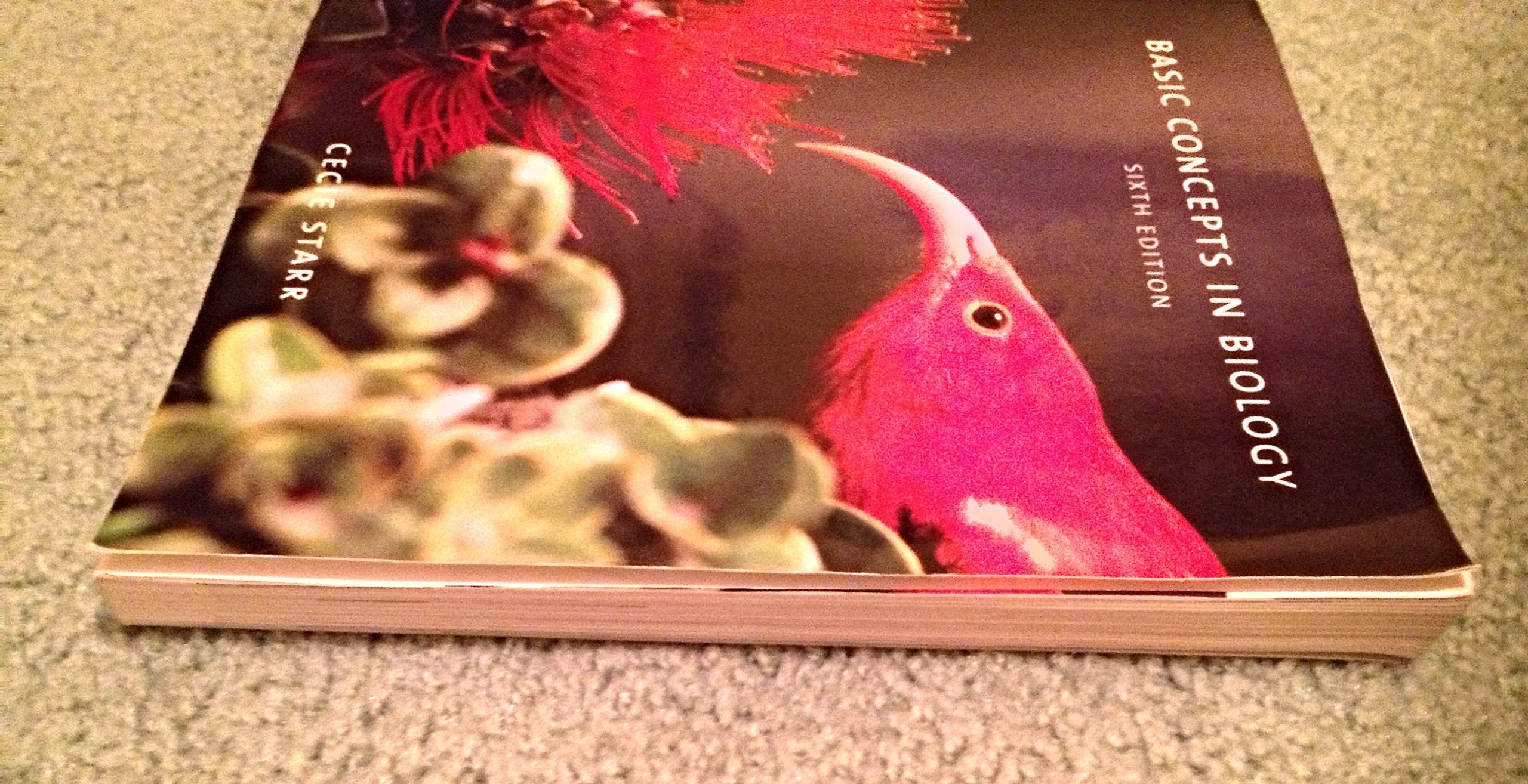 Basic Concepts in Biology (Brooks/Cole Biology),Used