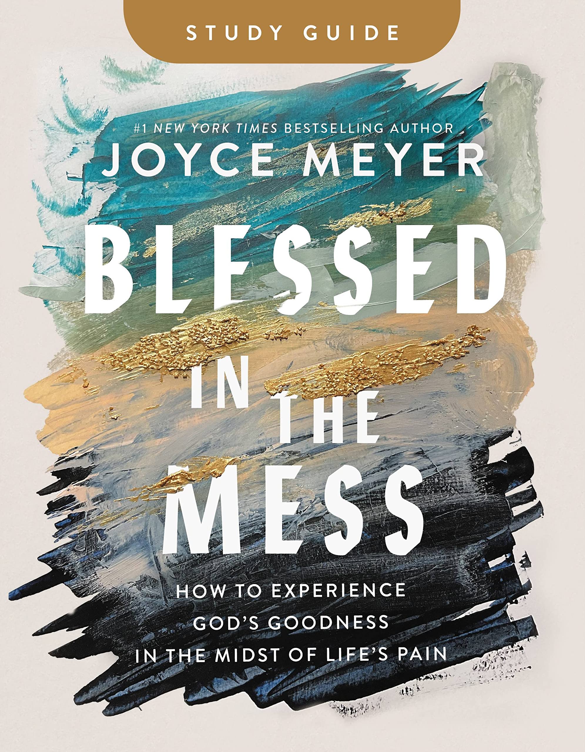 Blessed In The Mess Study Guide: How To Experience God'S Goodness In The Midst Of Life'S Pain,New