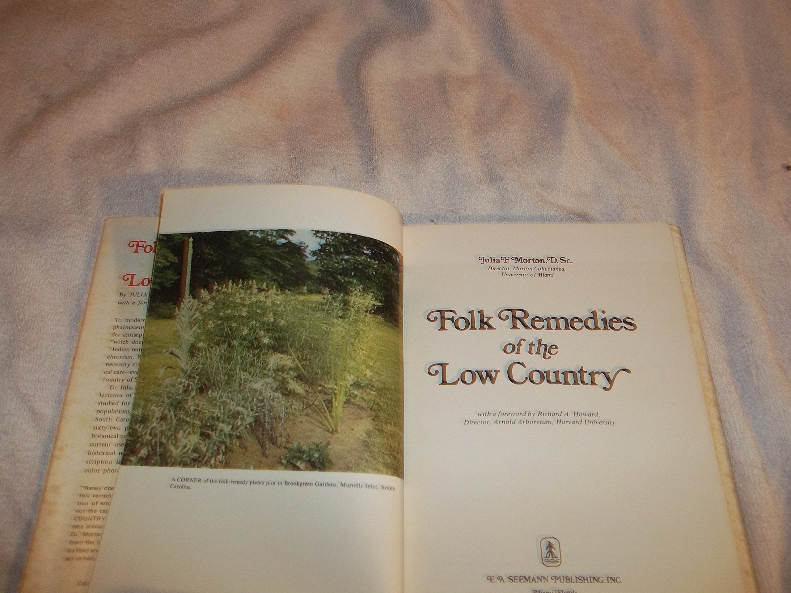 Folk Remedies of the Low Country,New