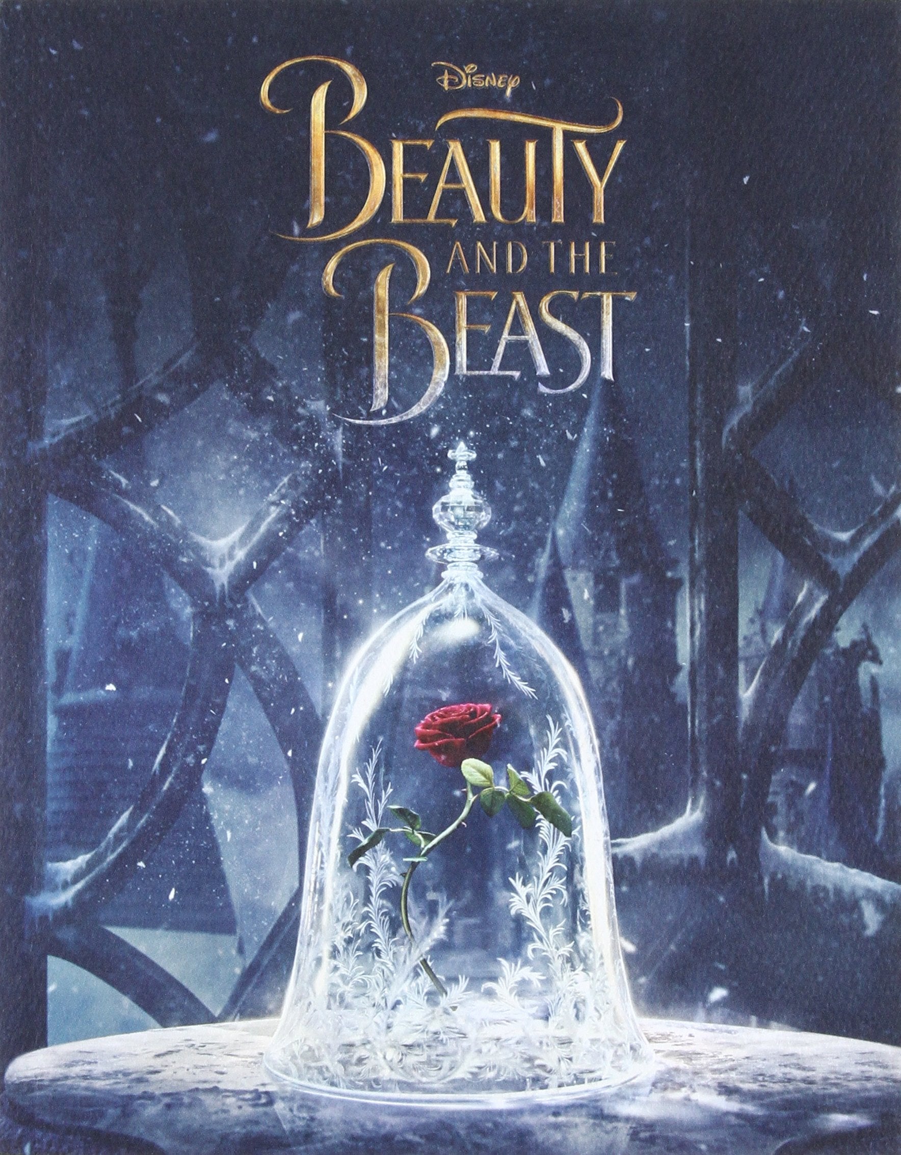 Beauty and the Beast Novelization (Disney),Used