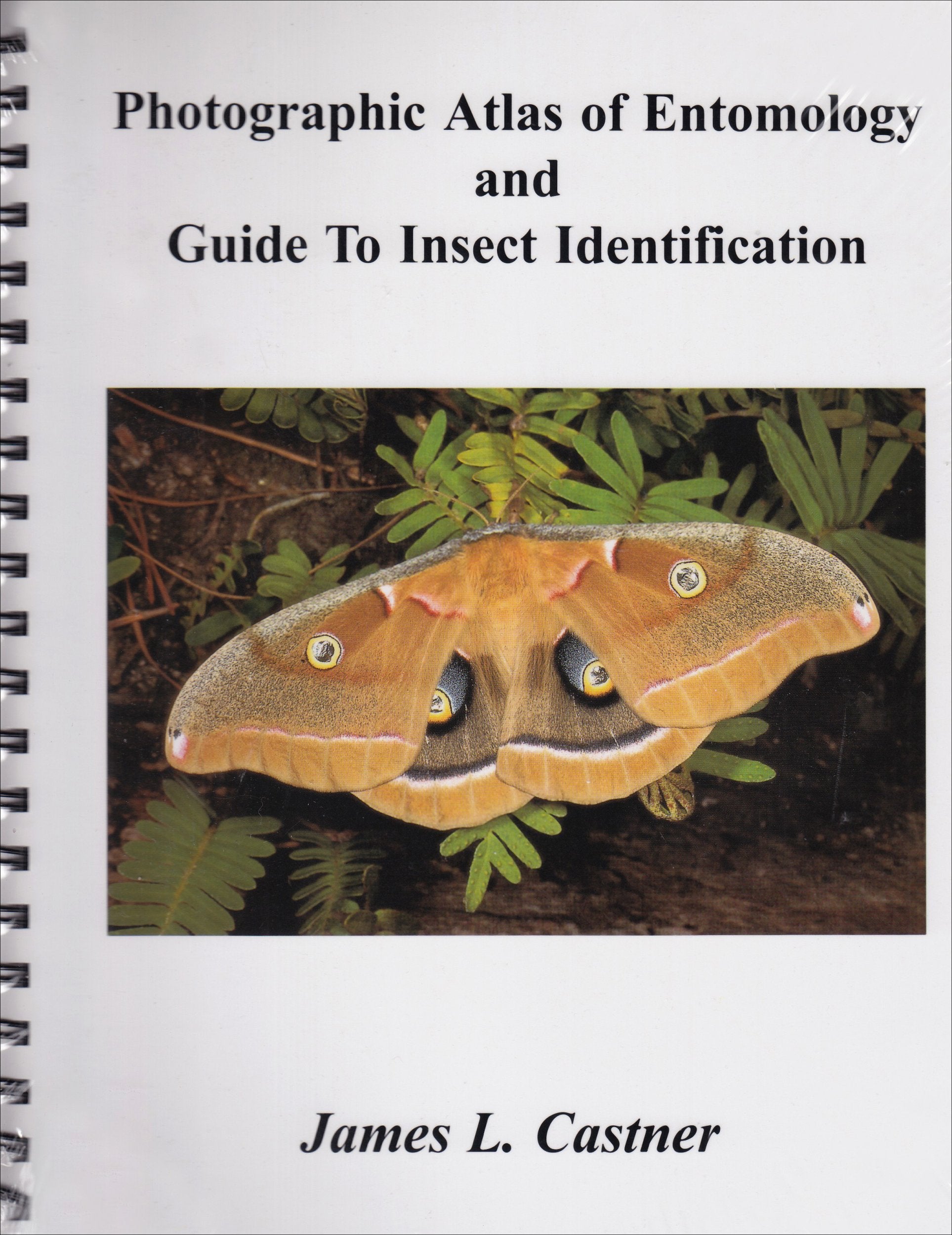 Photographic Atlas of Entomology & Guide to Insect Identification,New