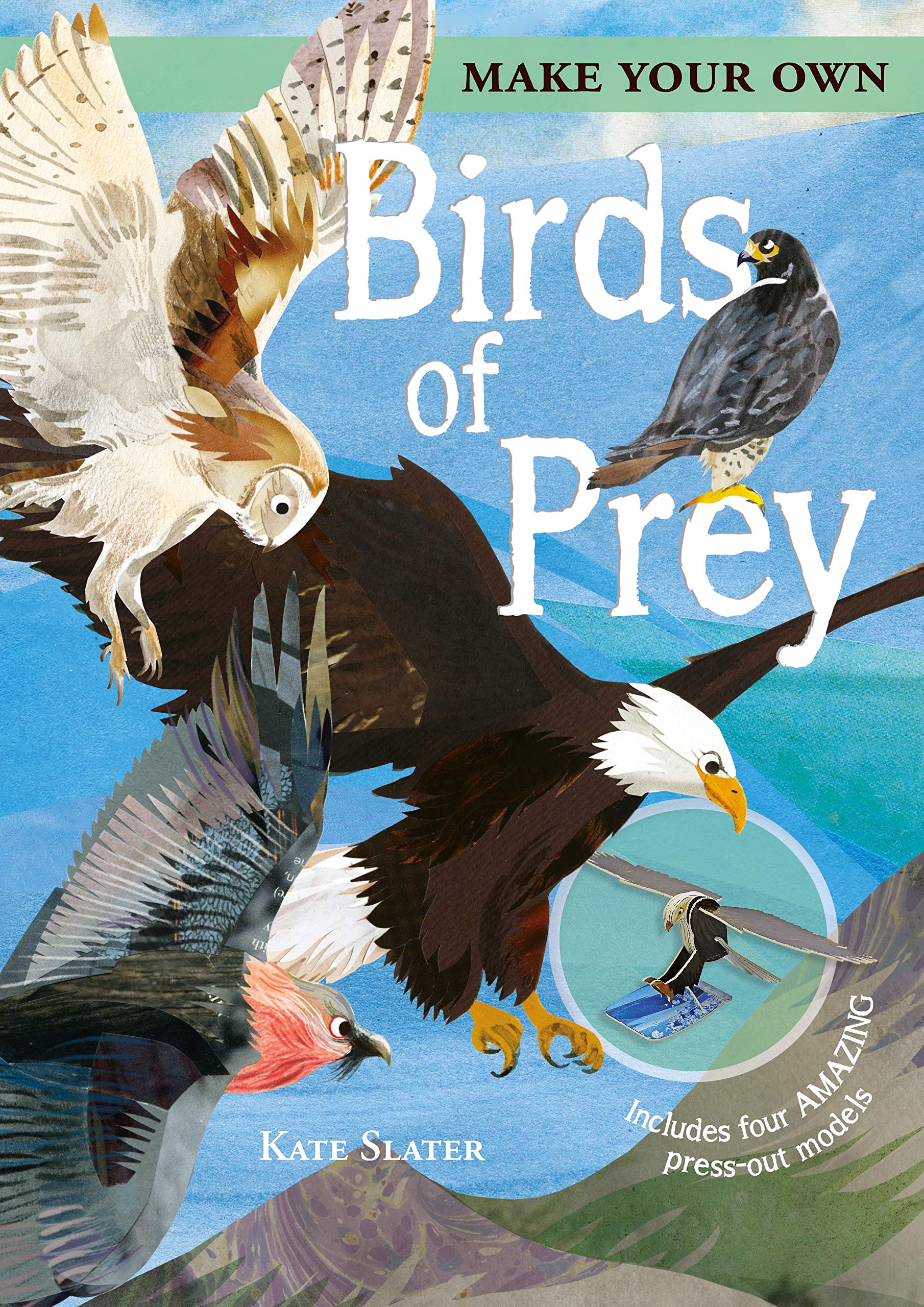 Make Your Own Birds of Prey: Includes Four Amazing Pressout Models,Used