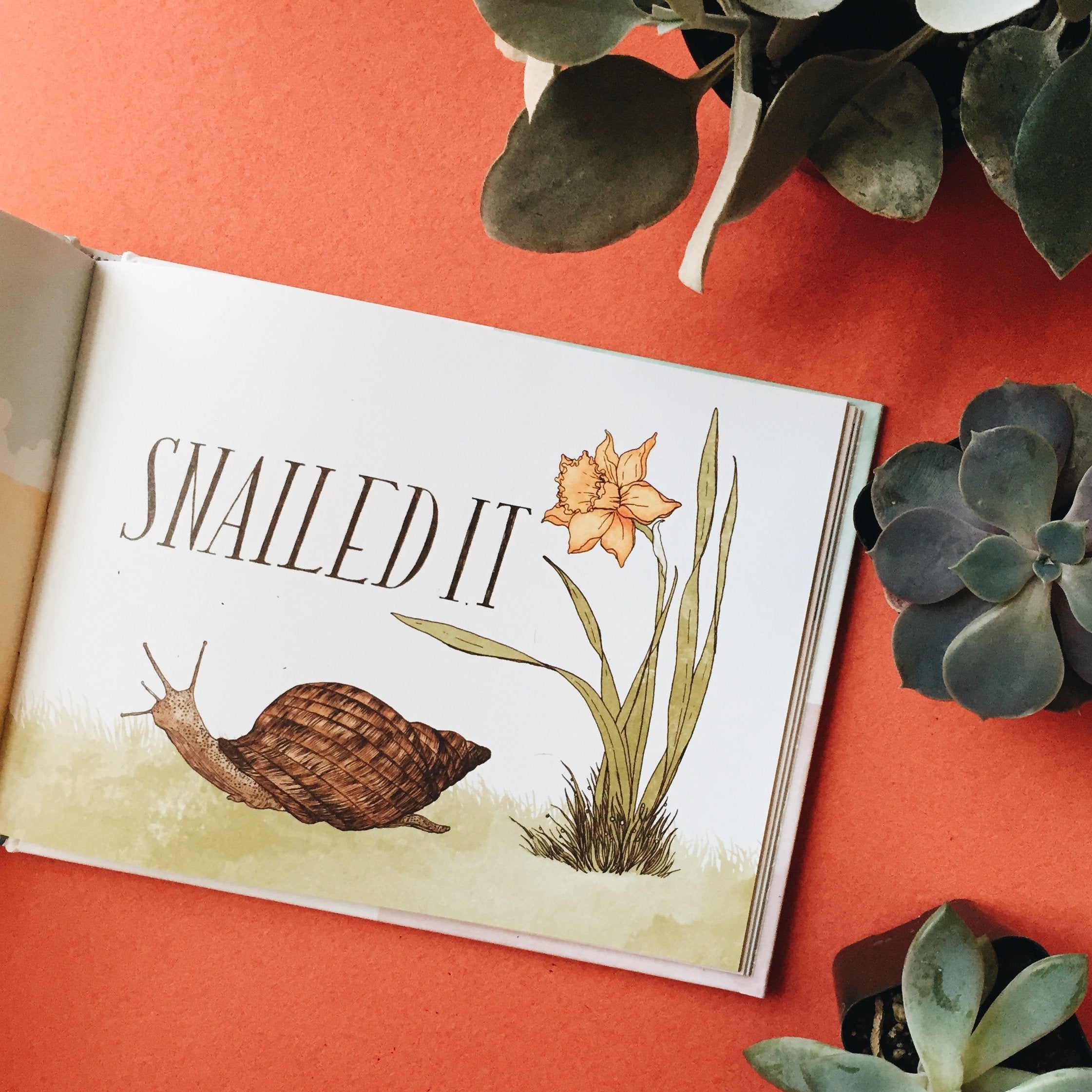 Have a Little Pun: An Illustrated Play on Words (Book of Puns, Pun Gifts, Punny Gifts),Used