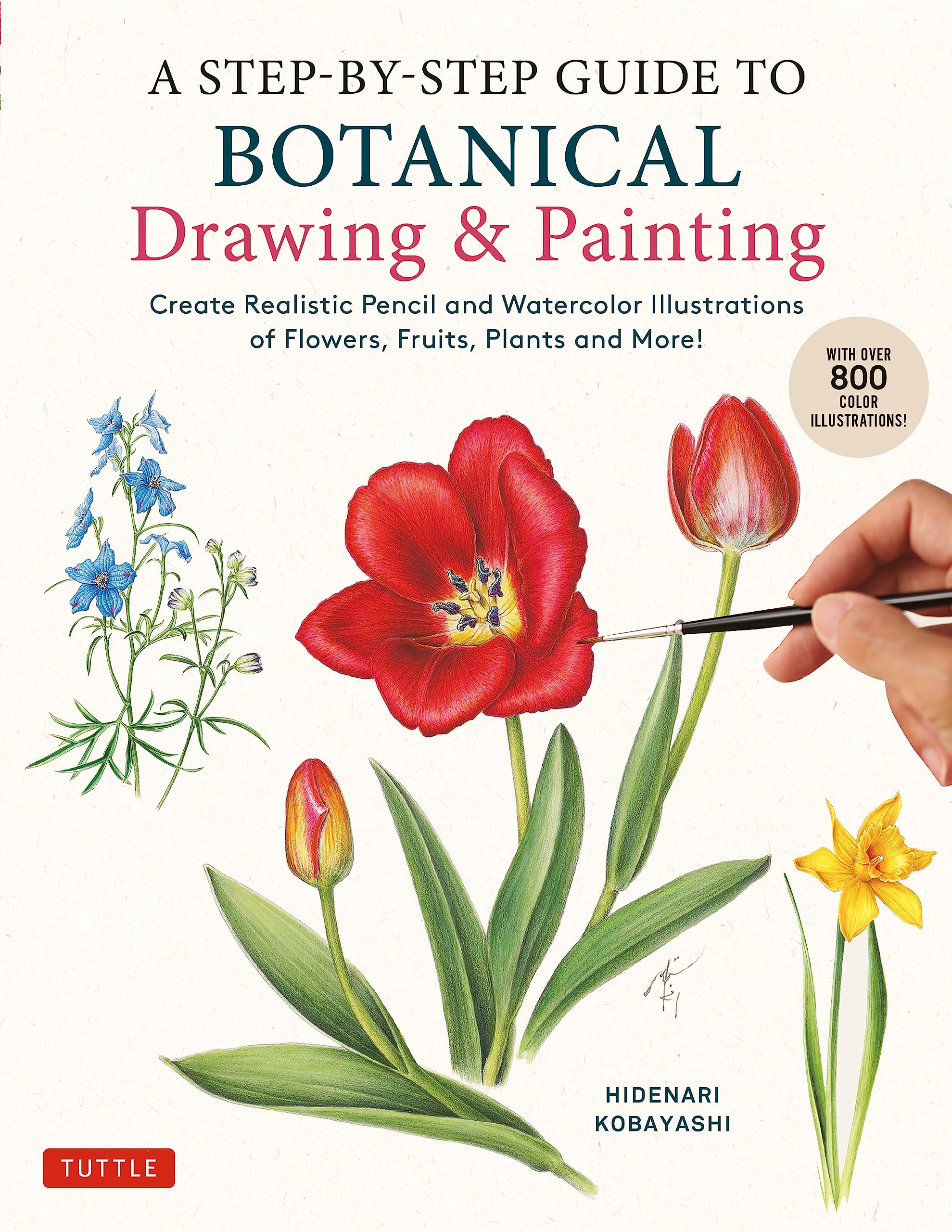 A Stepbystep Guide To Botanical Drawing & Painting: Create Realistic Pencil And Watercolor Illustrations Of Flowers, Fruits, P,New